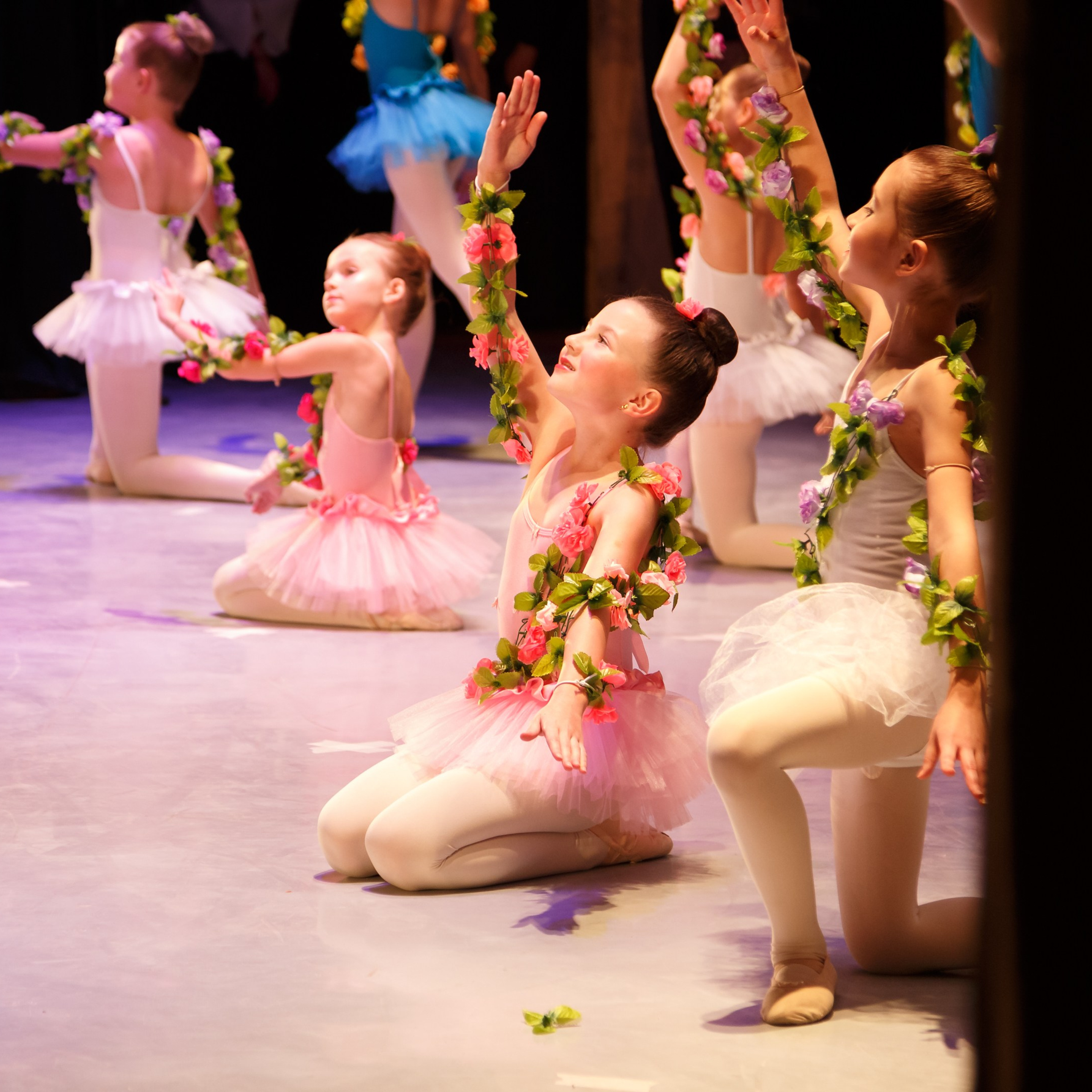 Репортаж мероприятий #1