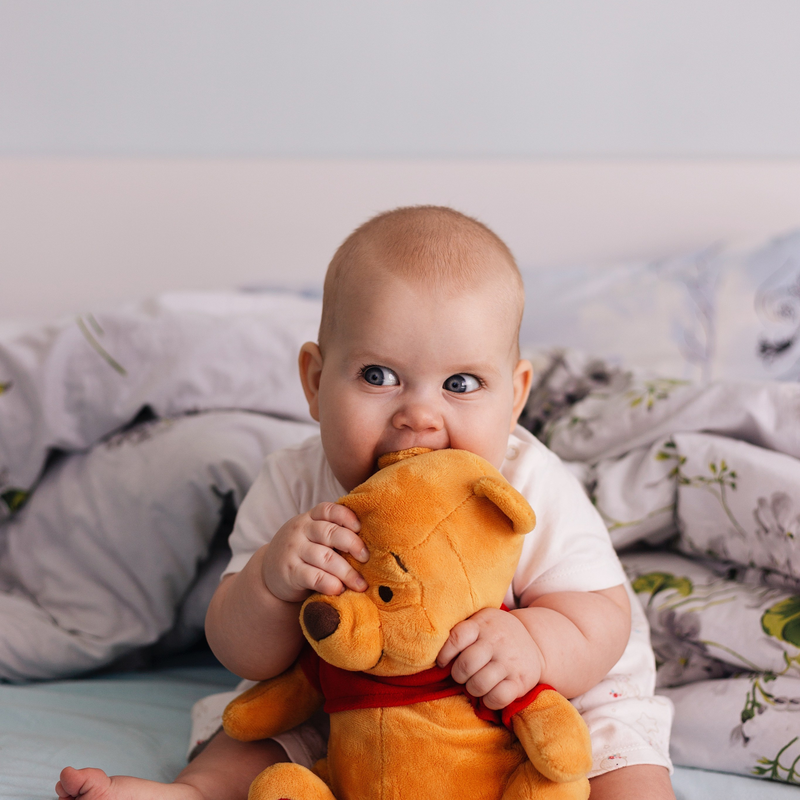 Аня Саша София