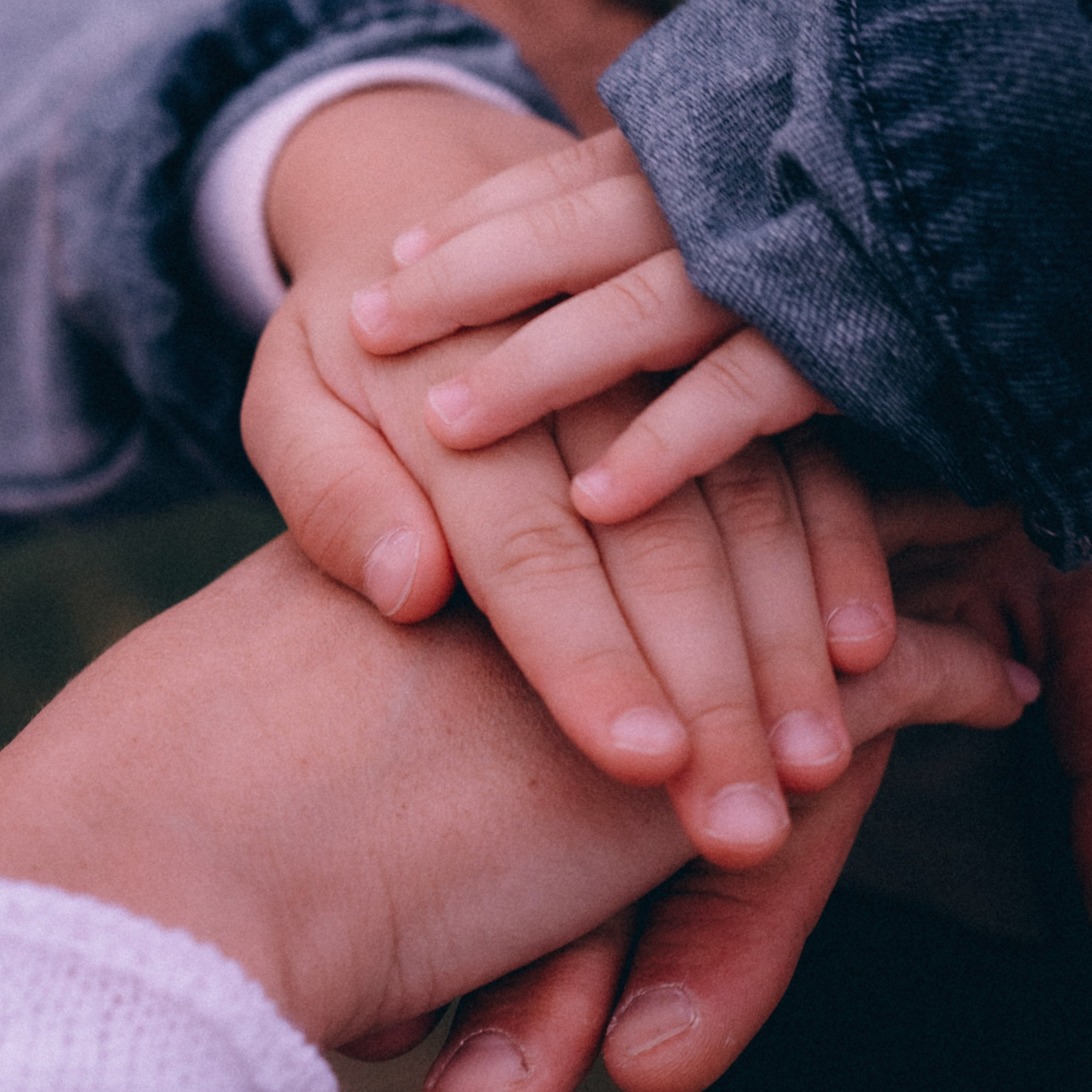 Арам, Даша, Георгий, Давид