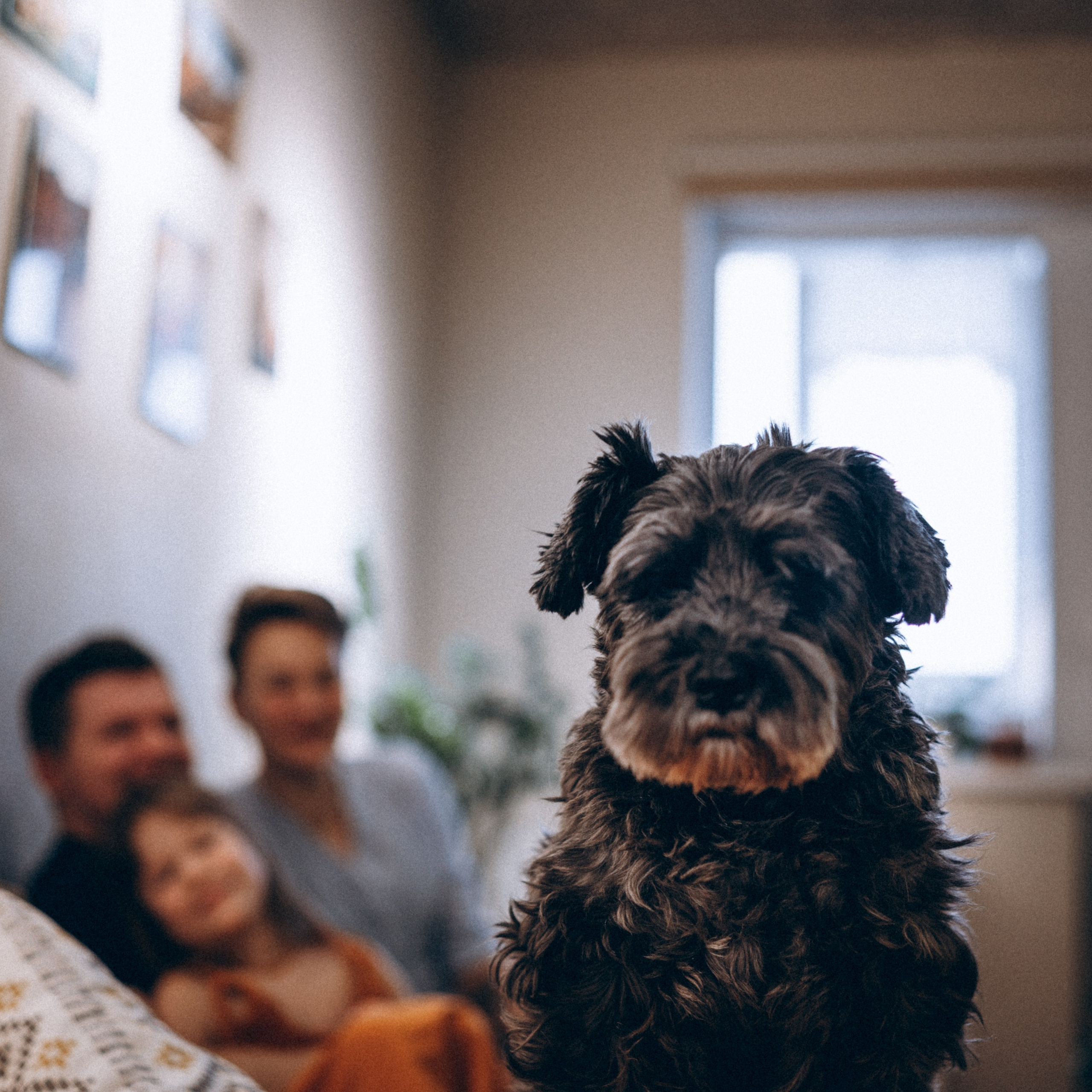 Лёша, Лида, Юра, Лия