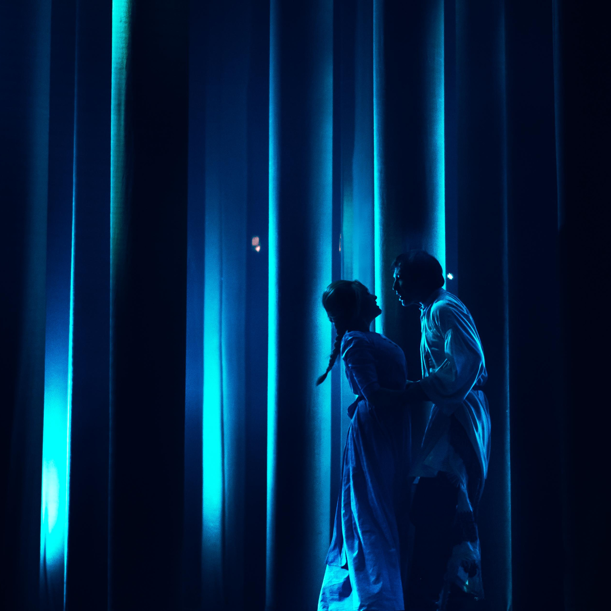 «Лес». Театр Комедии им. Н. П. Акимова