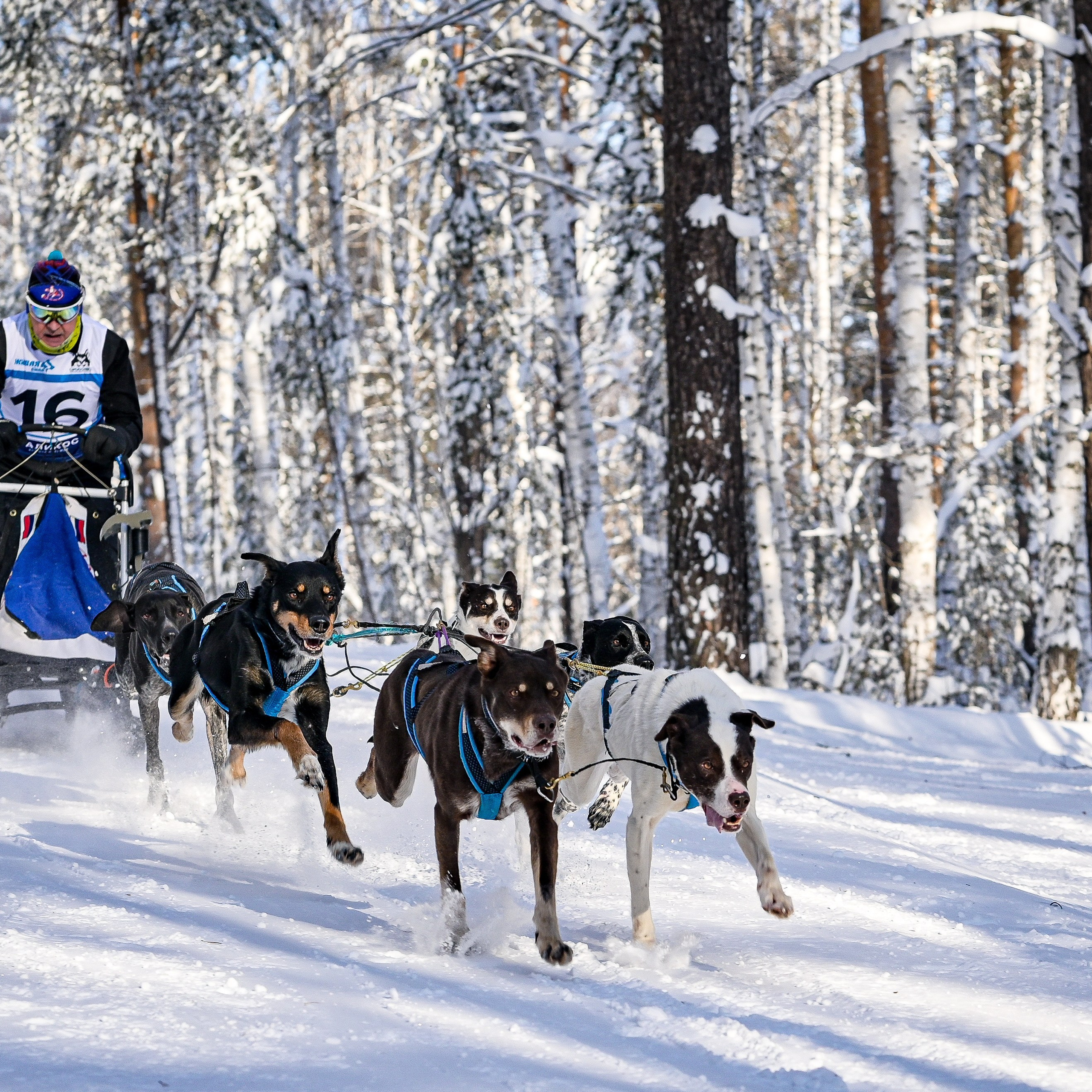 Отзывы. Семейный и детский фотограф Лариса Ерданова в Екатеринбурге