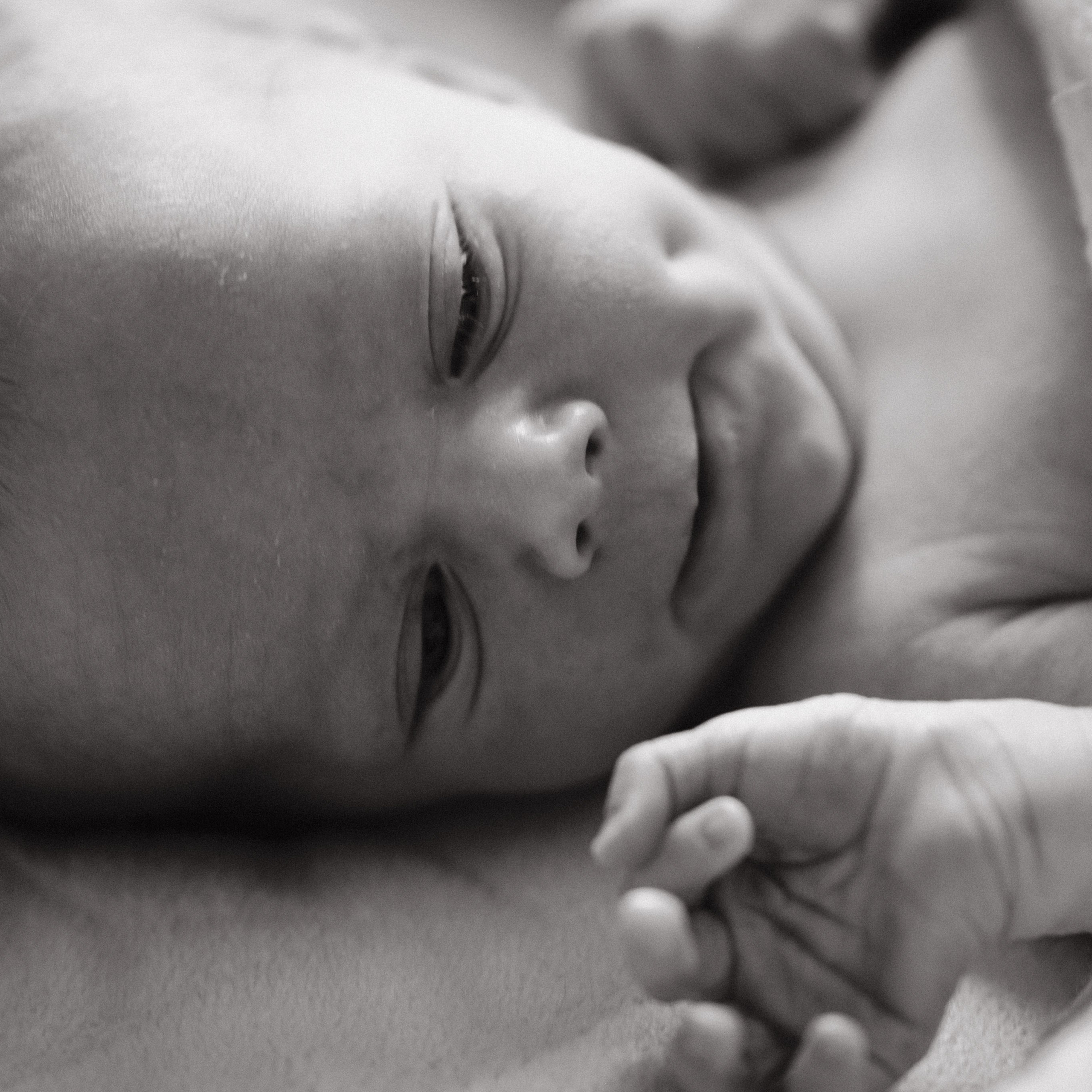 Антон, Наталья, Лиза и Егор.