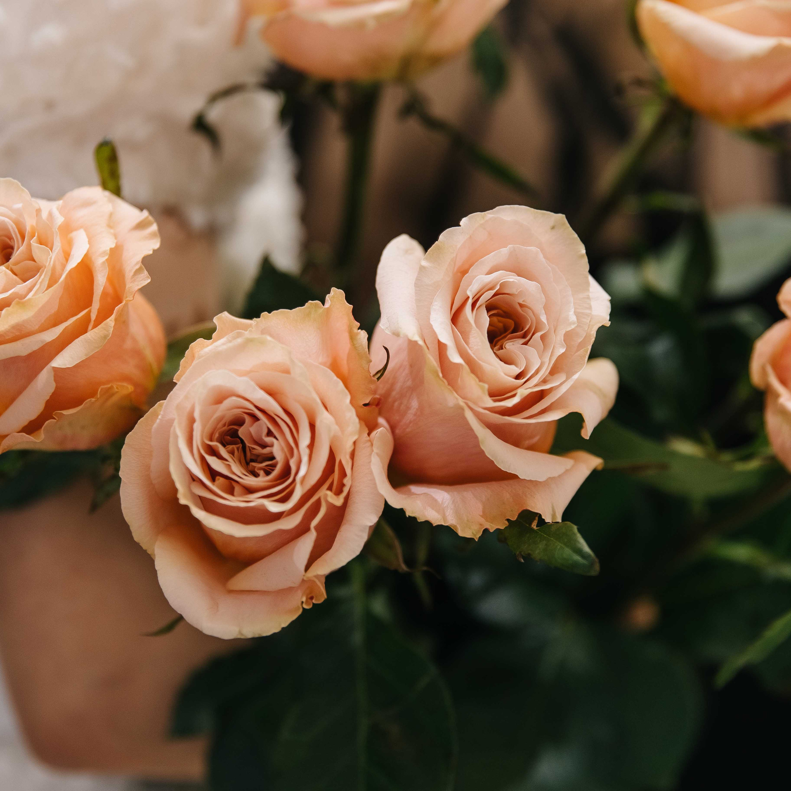 Отзывы. Свадебный и семейный фотограф в Краснодаре