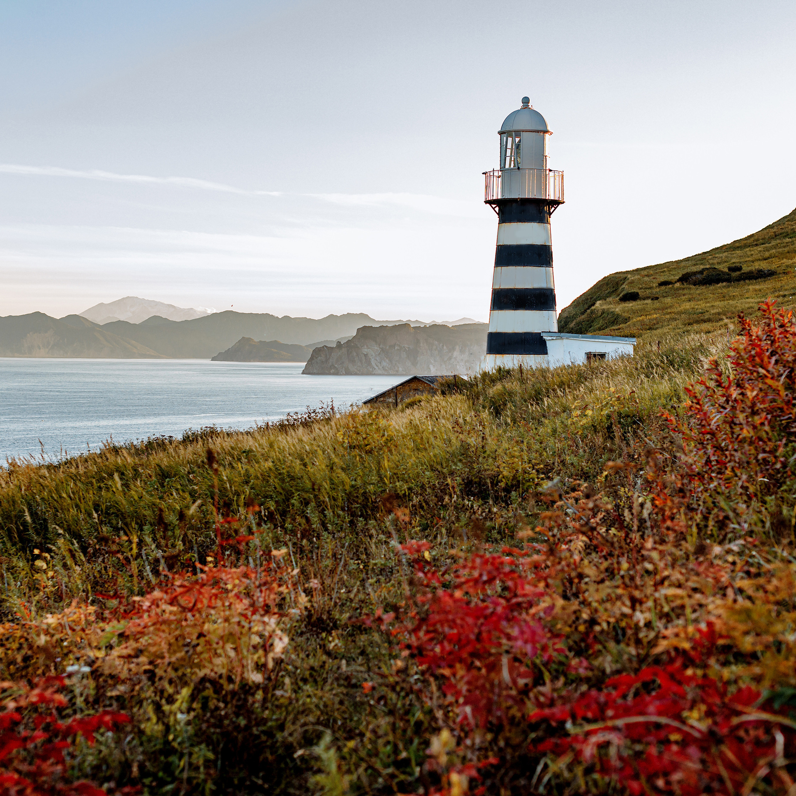 Отзывы. Фотограф, видеограф
