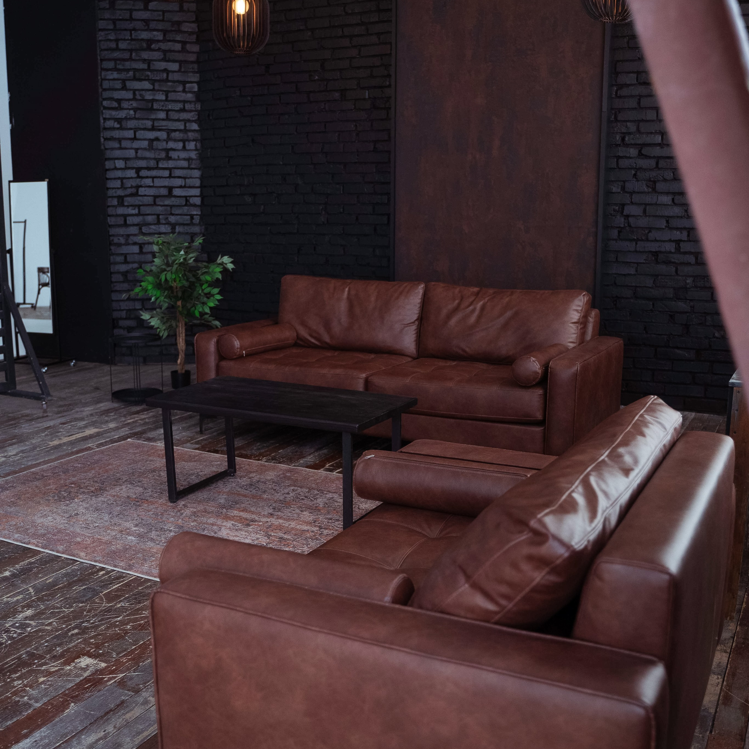 Браун (студия Спутник)