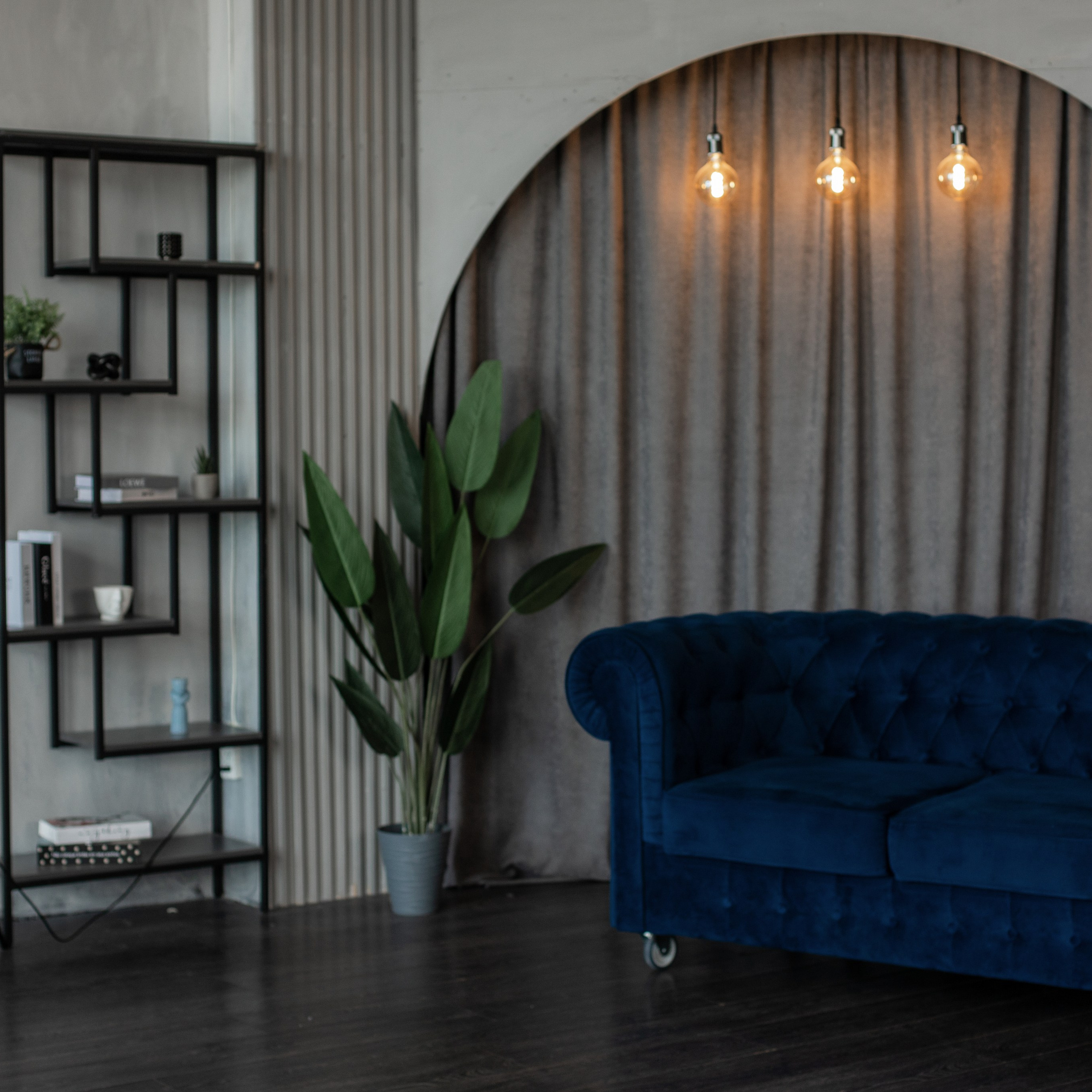 Честер (студия Зеркало)