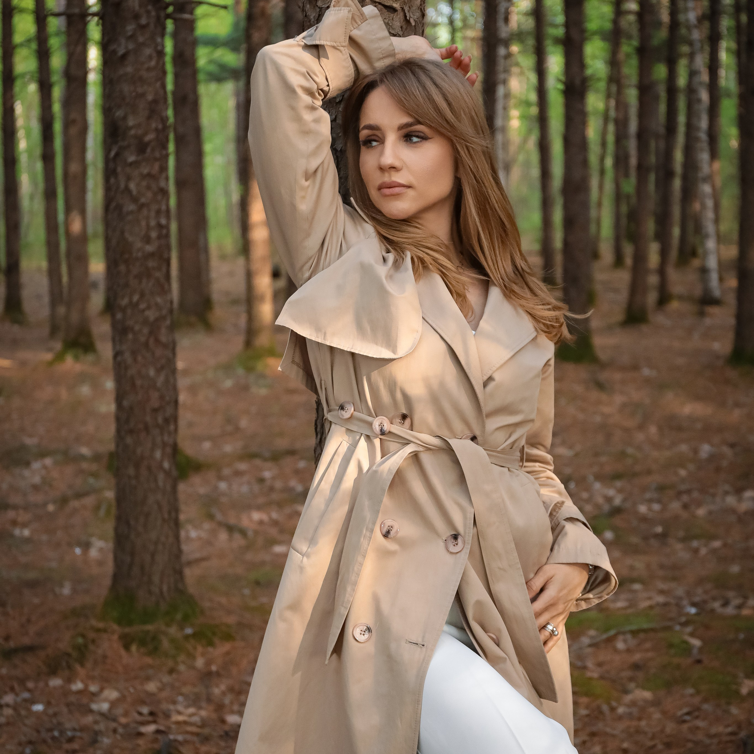 В сосновом лесу