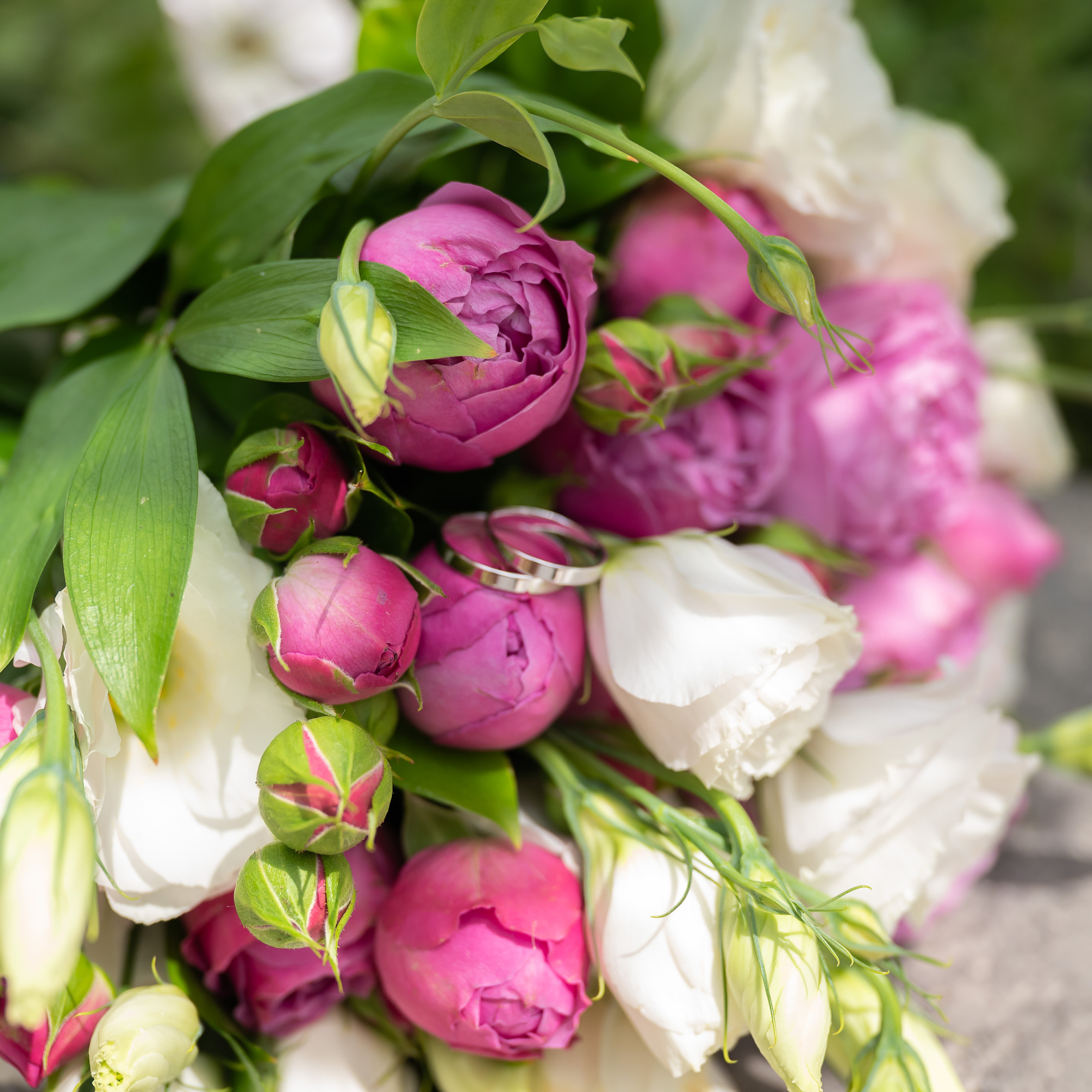 Отзывы. Elena Akimova фотограф