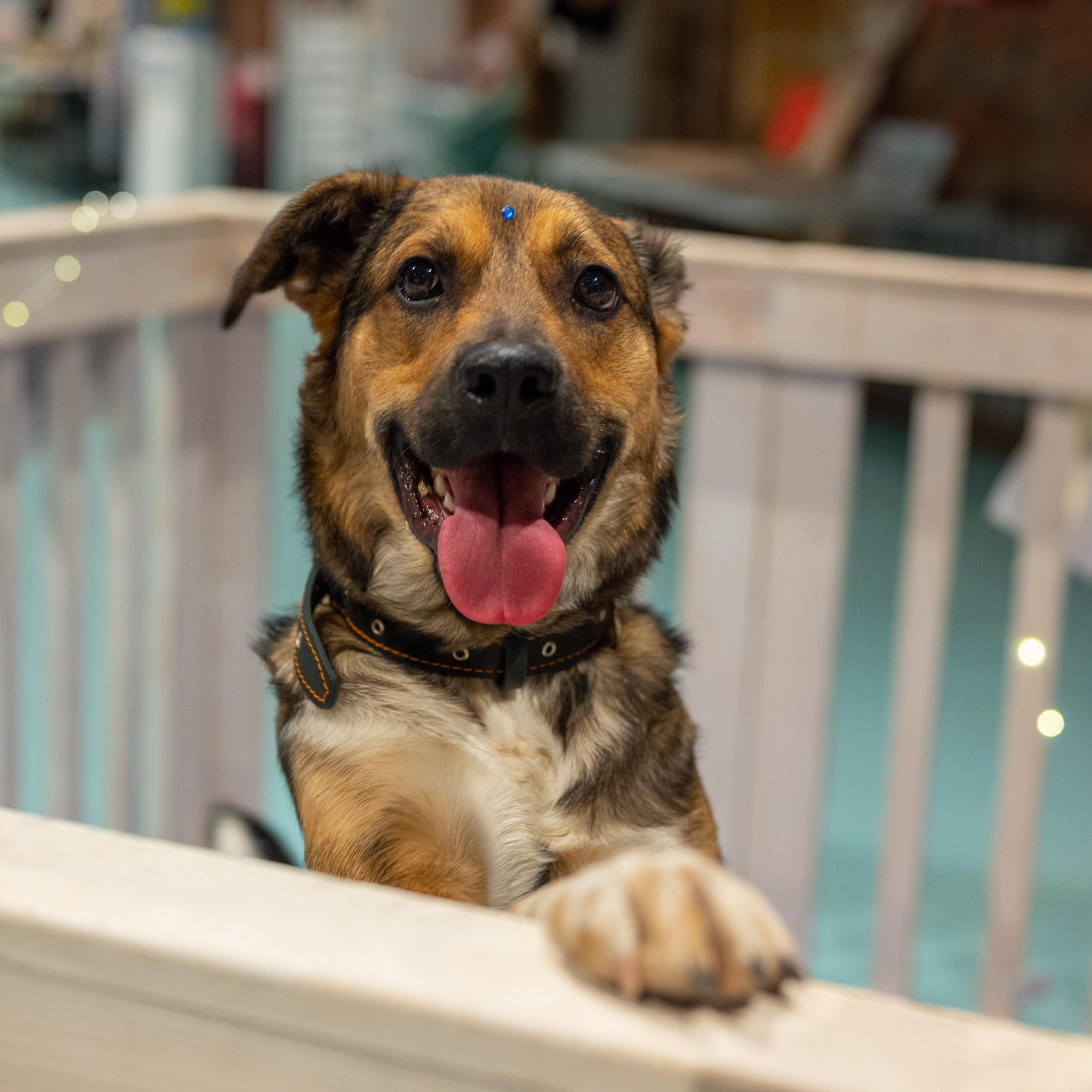 Благотворительный фестиваль «Путь домой»