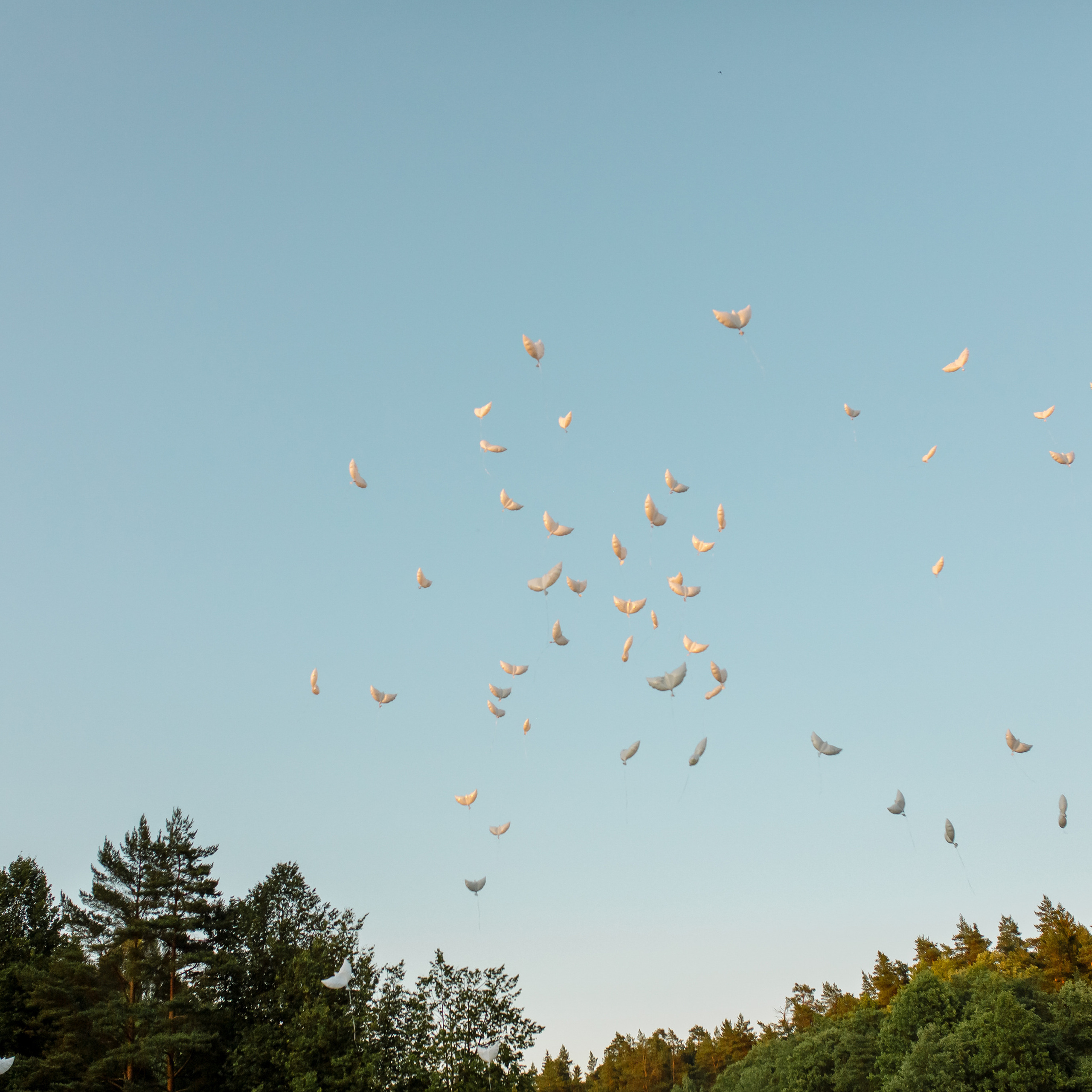 Выпускные альбомы для школы и детского сада