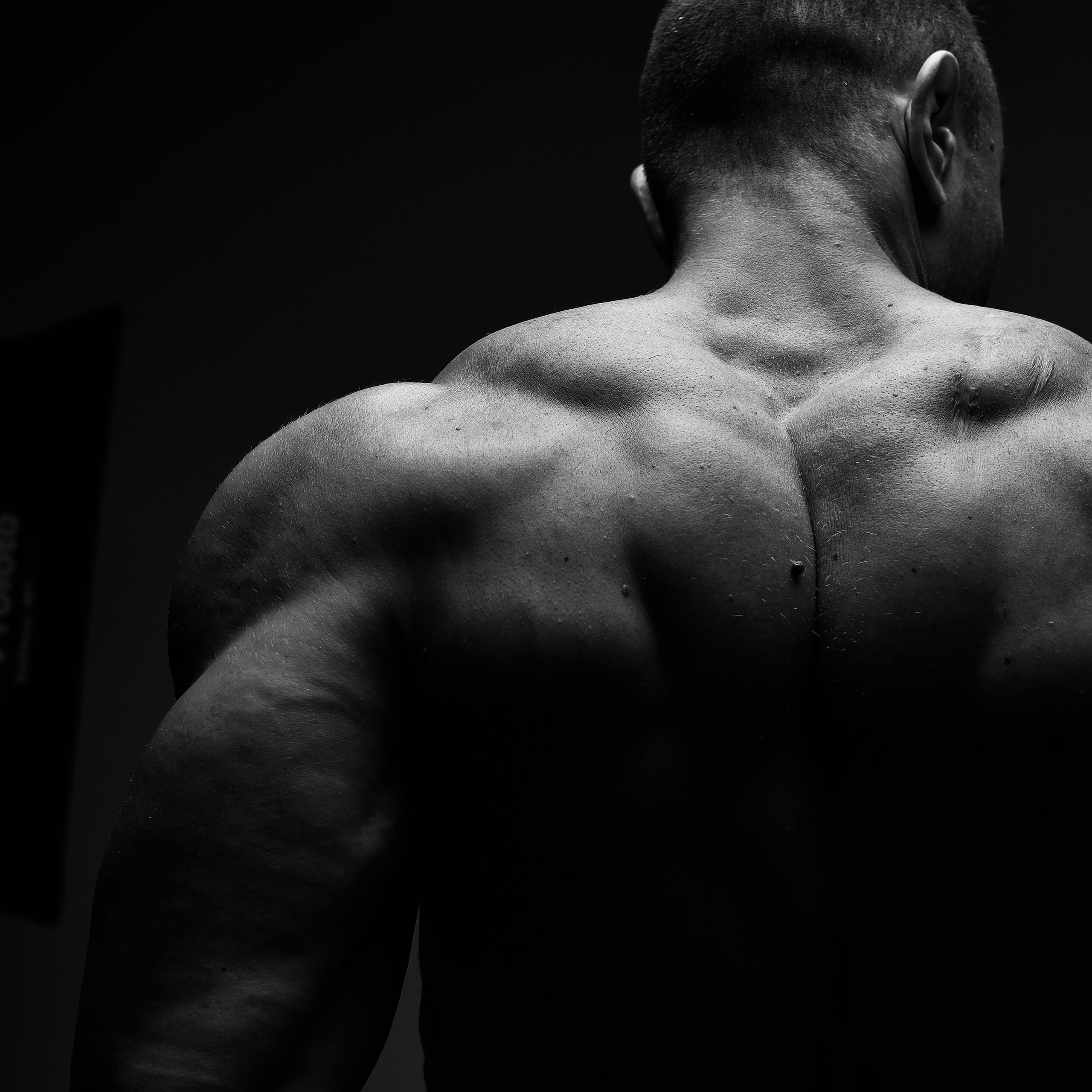 Мужской портрет. Главная