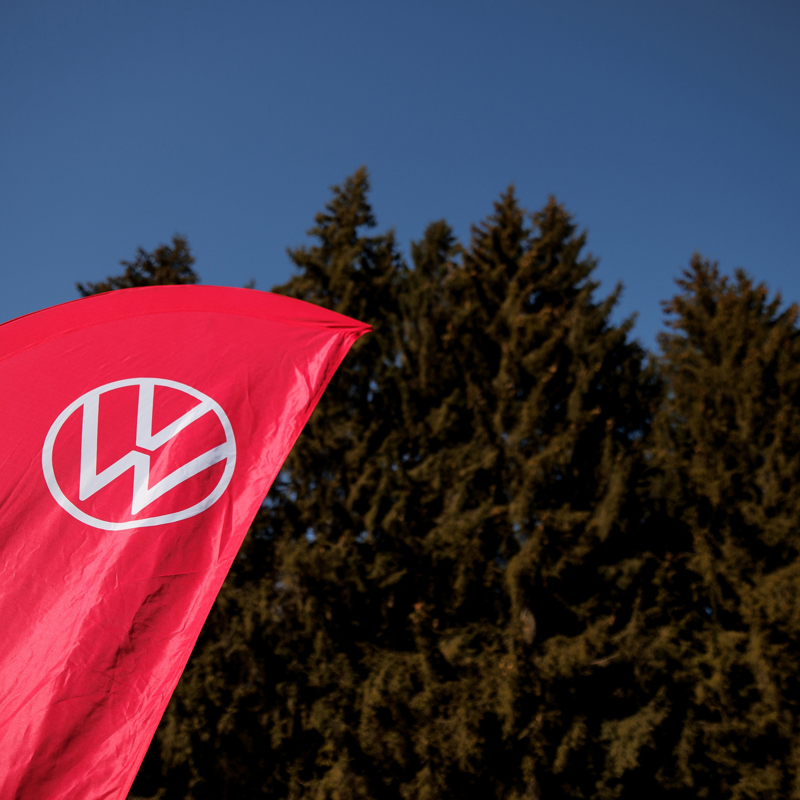 Reviews. Свадебный фотограф Каледич Тимофей