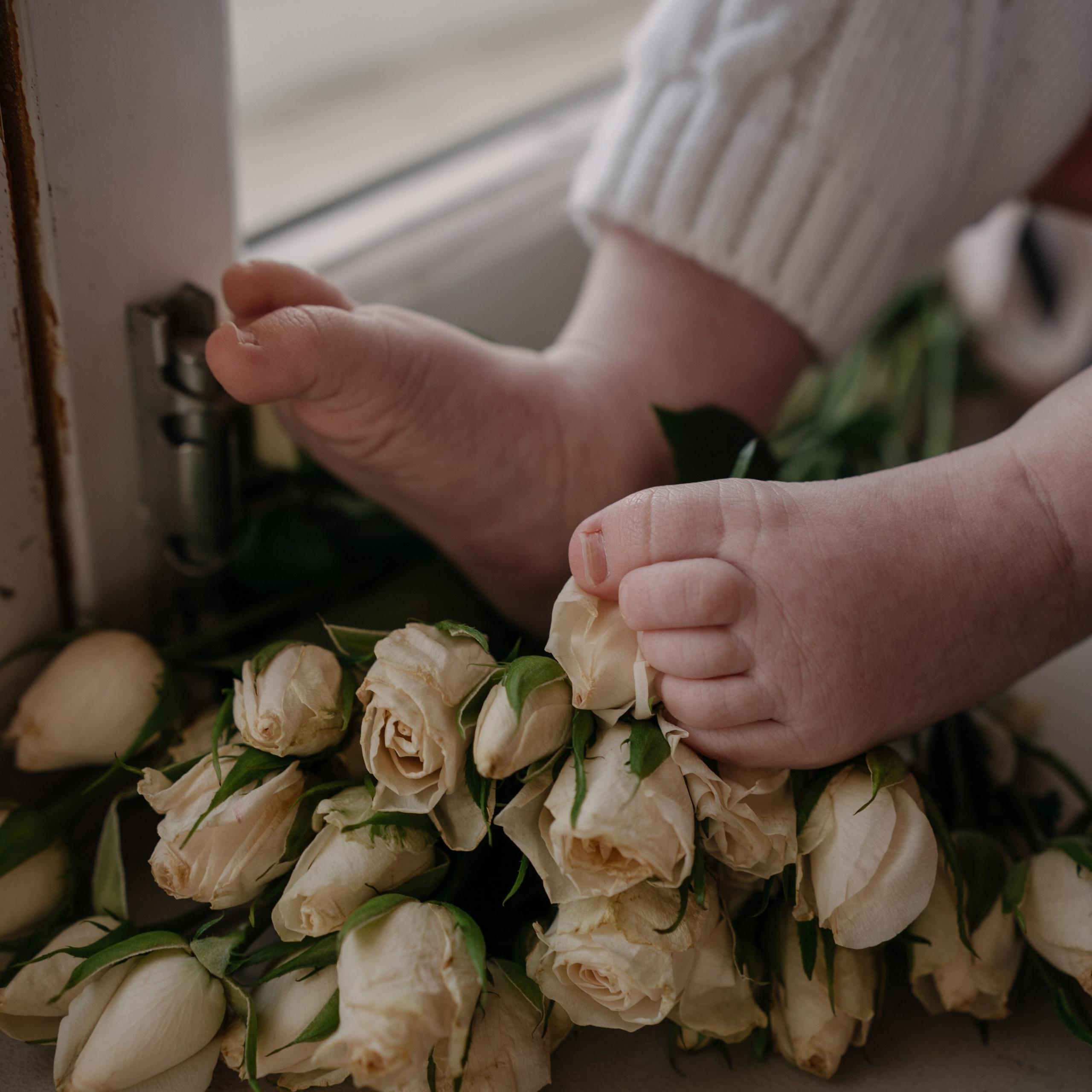 Отзывы. Семейный фотограф в Новосибирске Екатерина Лопатина