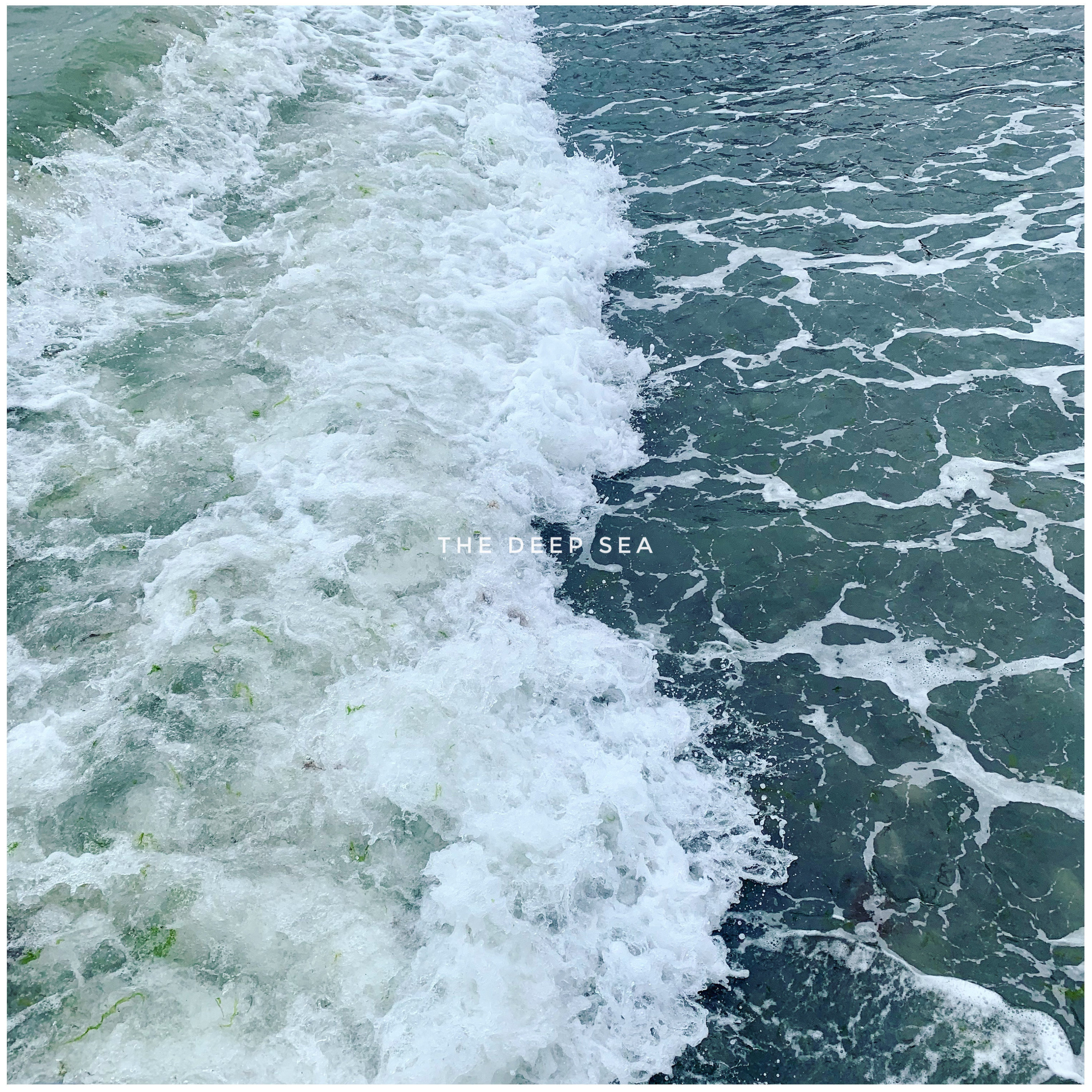 Отзывы. Артем Прошенков — фотограф и видеограф в Саратове