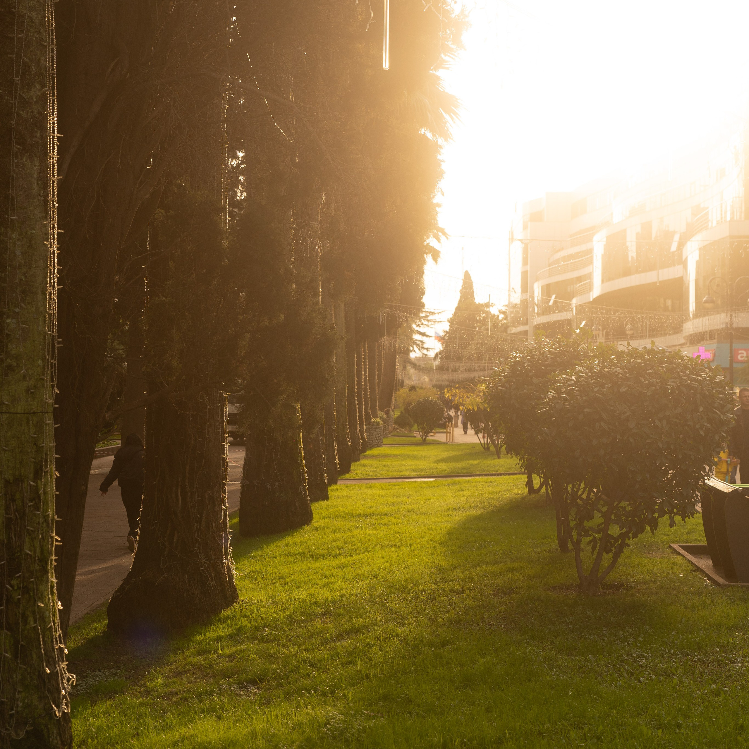 Отзывы. Репортажный фотограф  Сочи Николай Чик