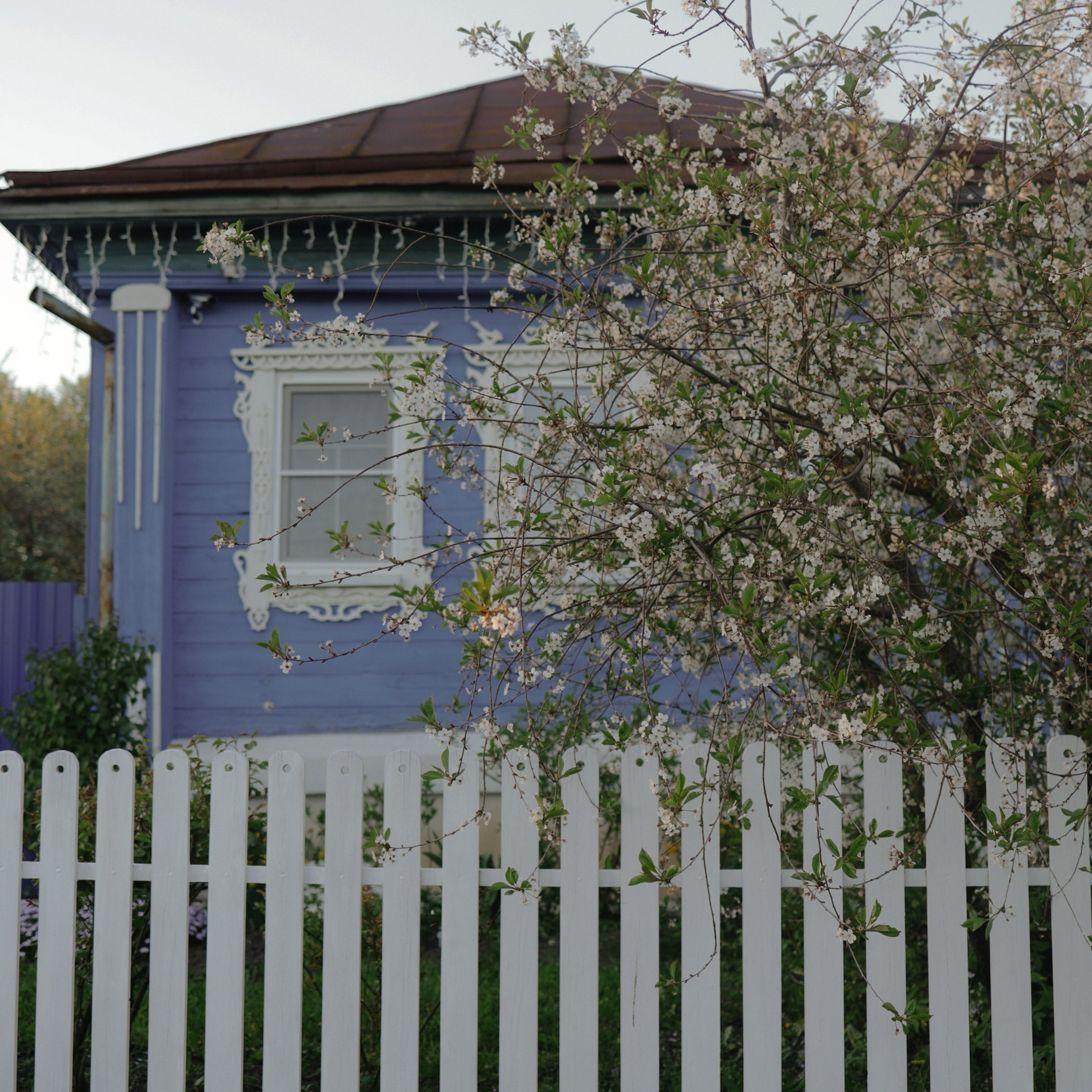 Путешествие в Суздаль. Фотограф и видеограф Елена Лисина
