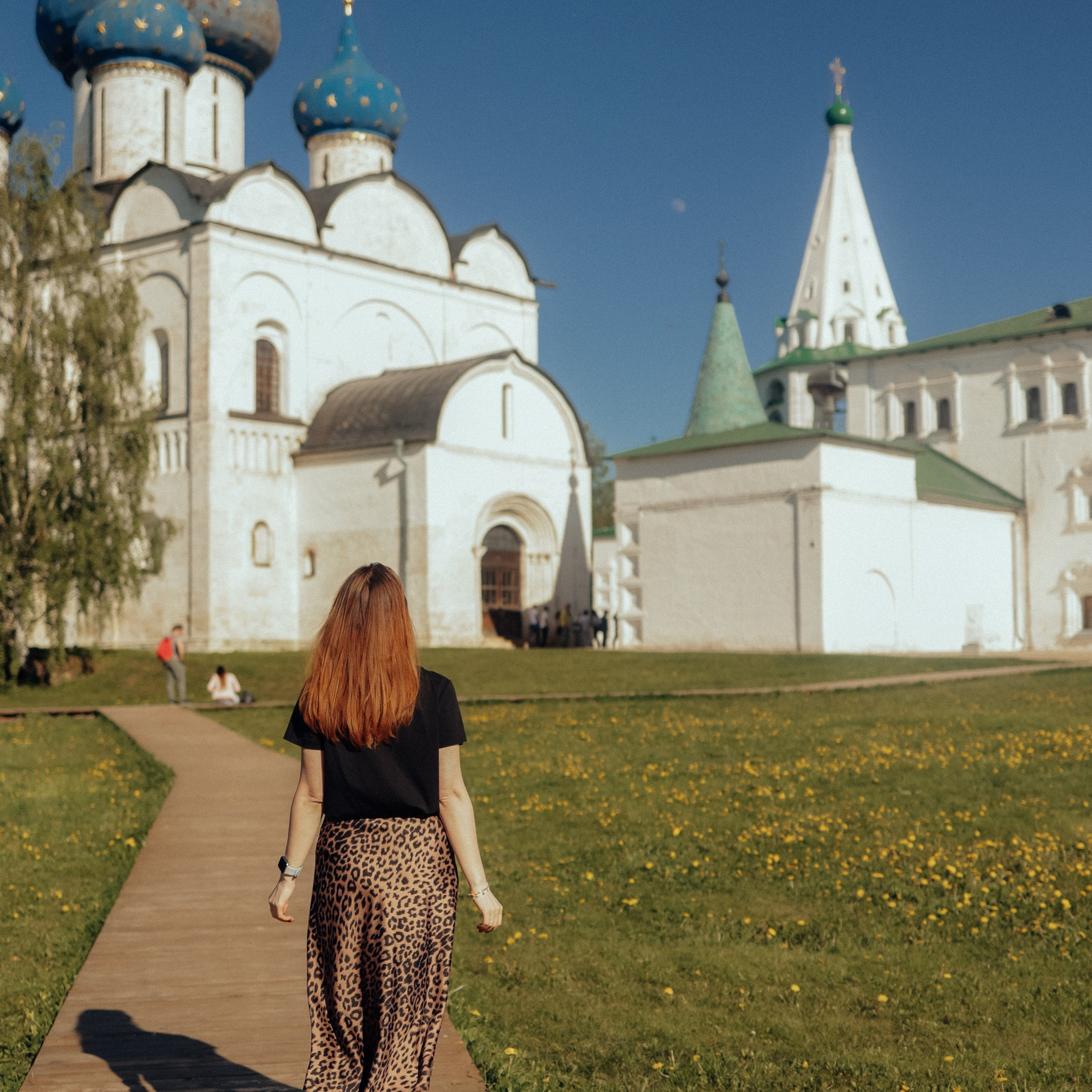 Путешествие в Суздаль. Фотограф и видеограф Елена Лисина