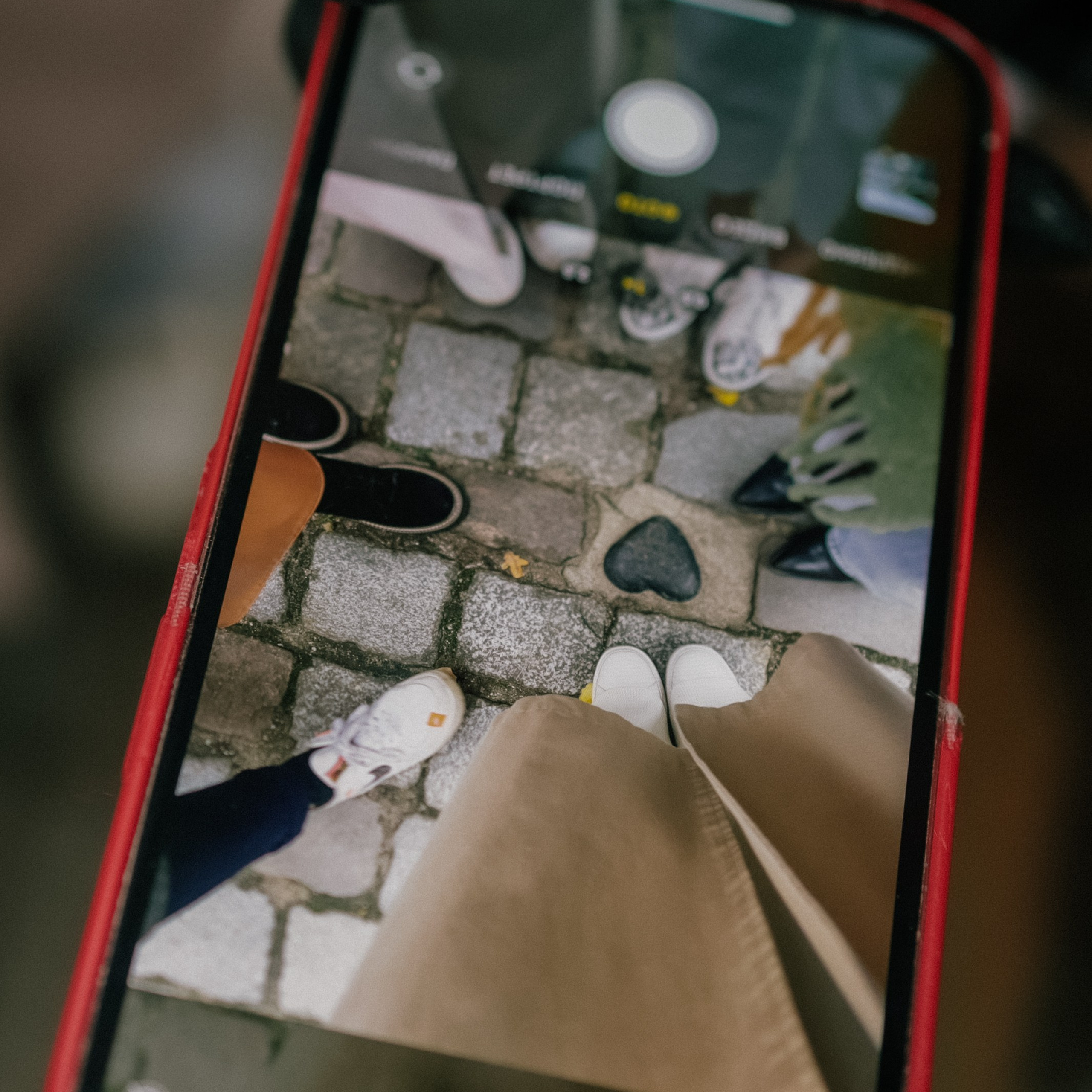 Путешествие в Калининград. Фотограф и видеограф Елена Лисина