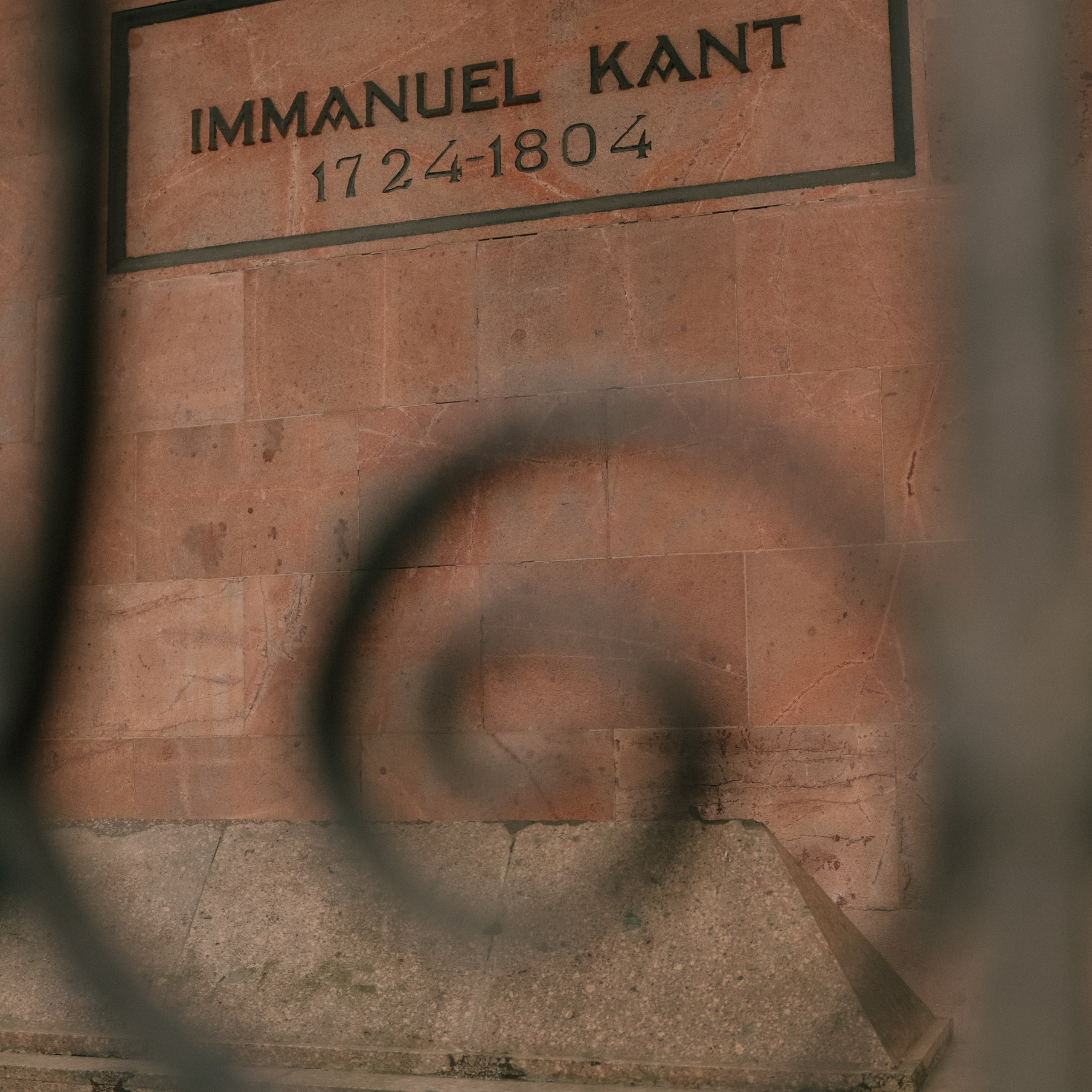 Путешествие в Калининград. Фотограф и видеограф Елена Лисина