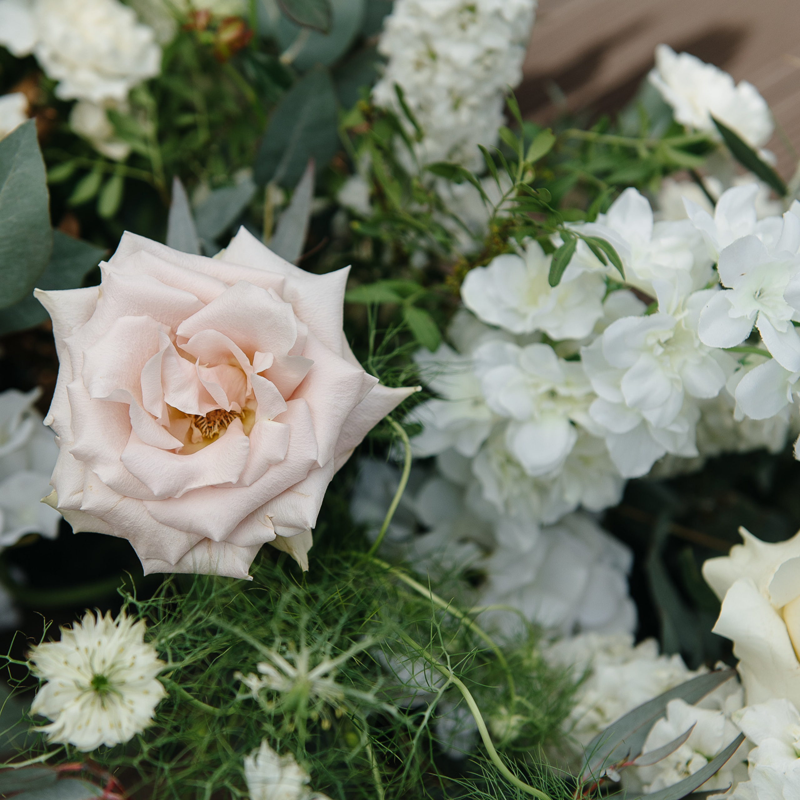 Фото контент. Фотограф Валерия Голубева (Миронова)