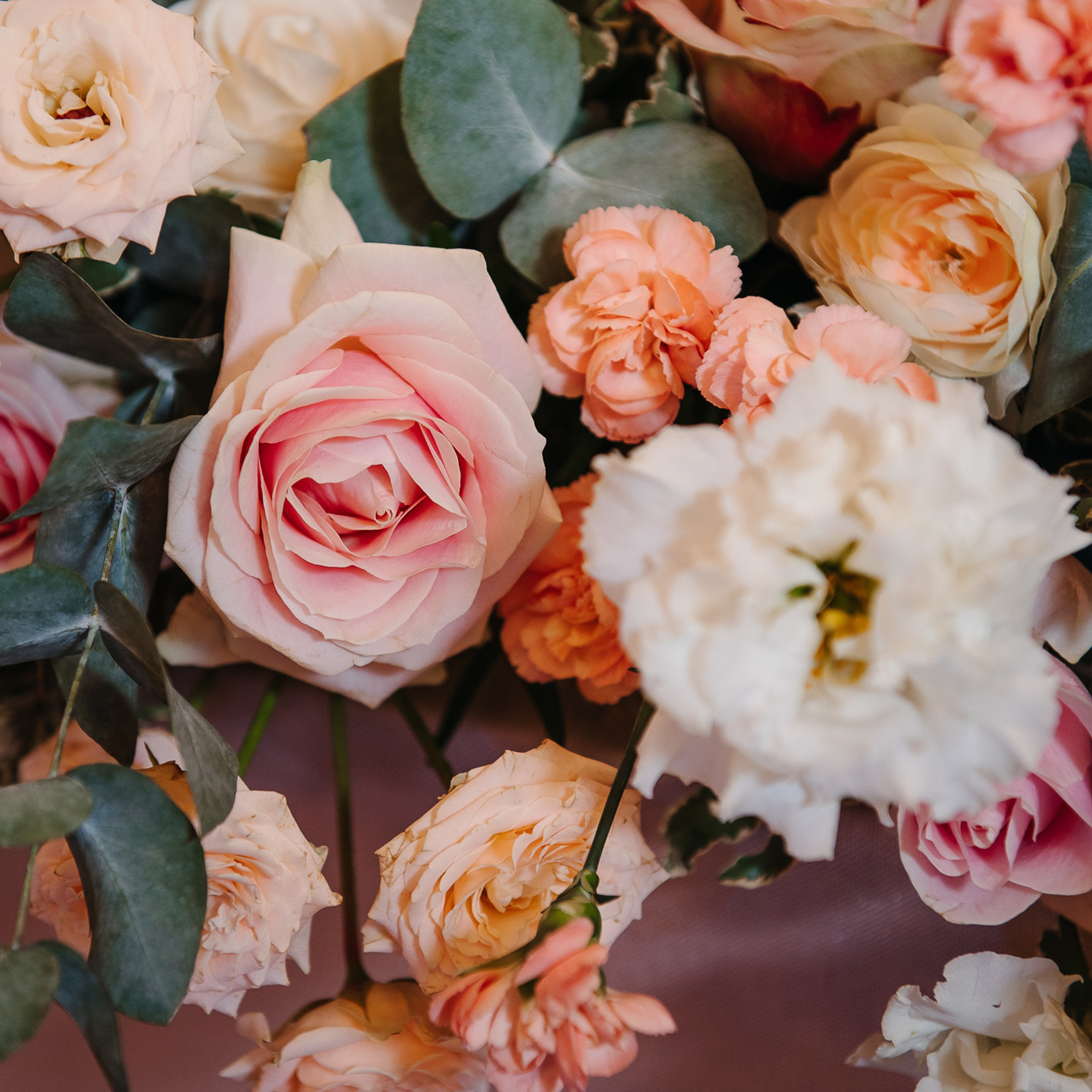 Фото контент. Фотограф Валерия Голубева (Миронова)