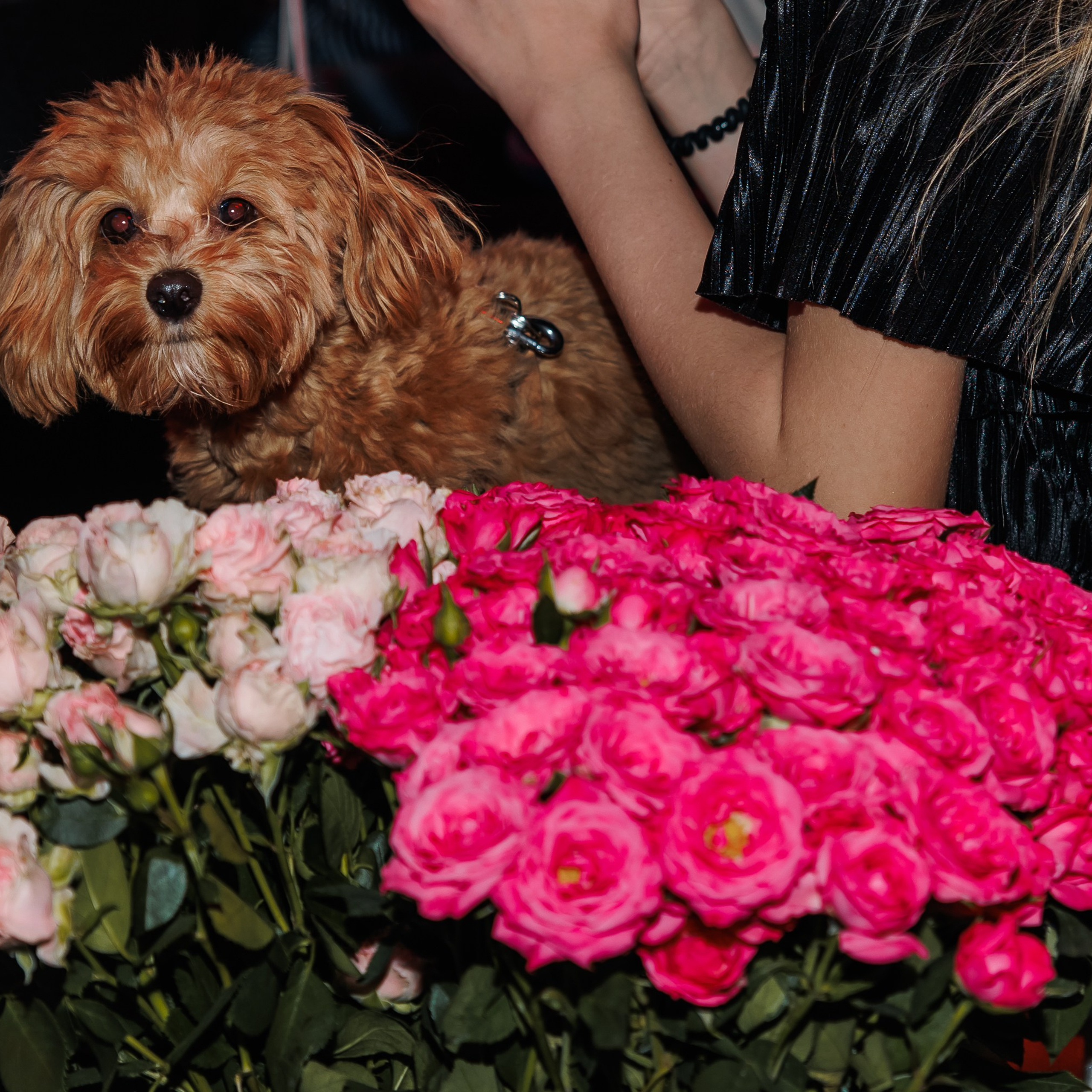 Конференция. Репортажный фотограф. Москва. Алина Ланская