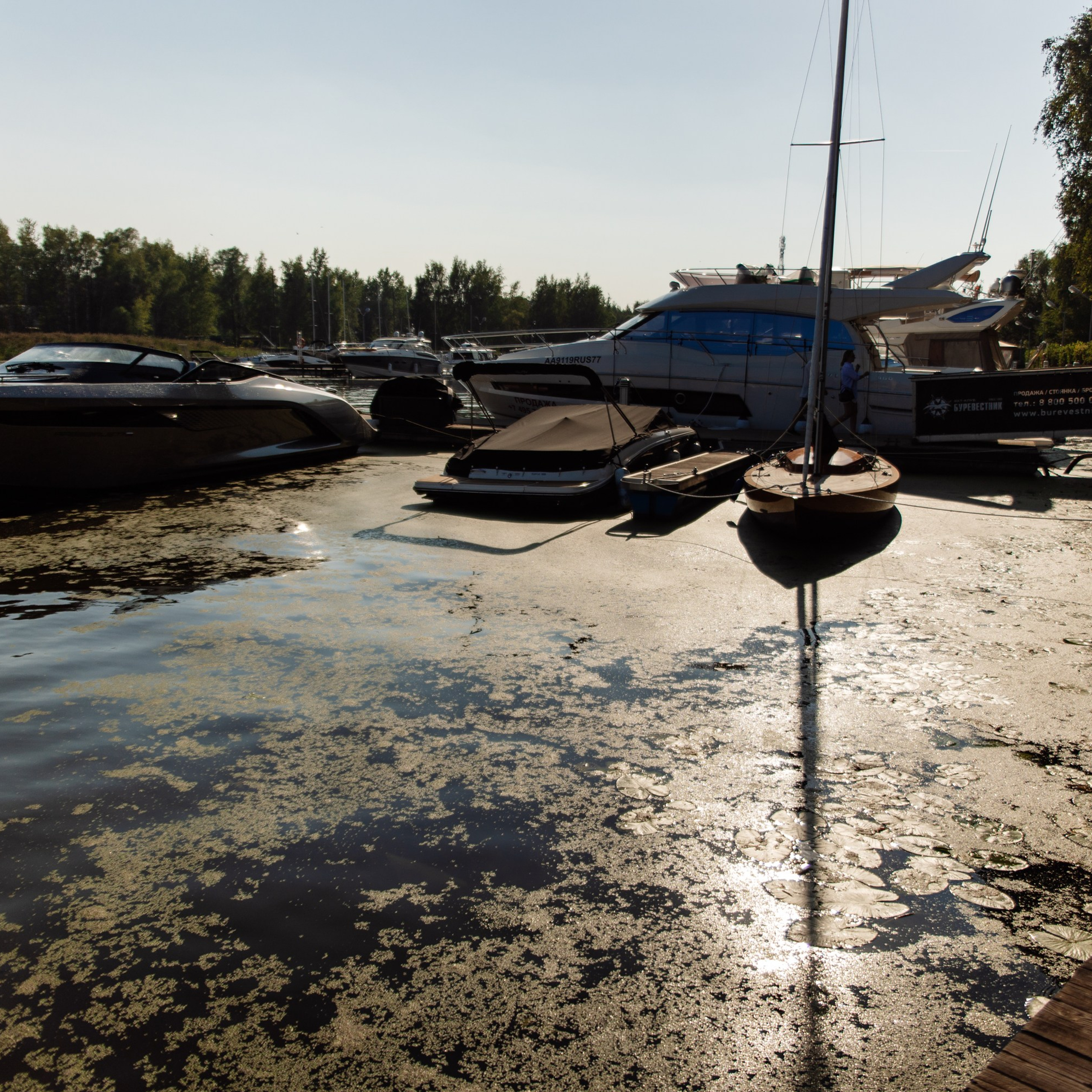 Корпоративная регата. Репортажный фотограф. Москва. Алина Ланская