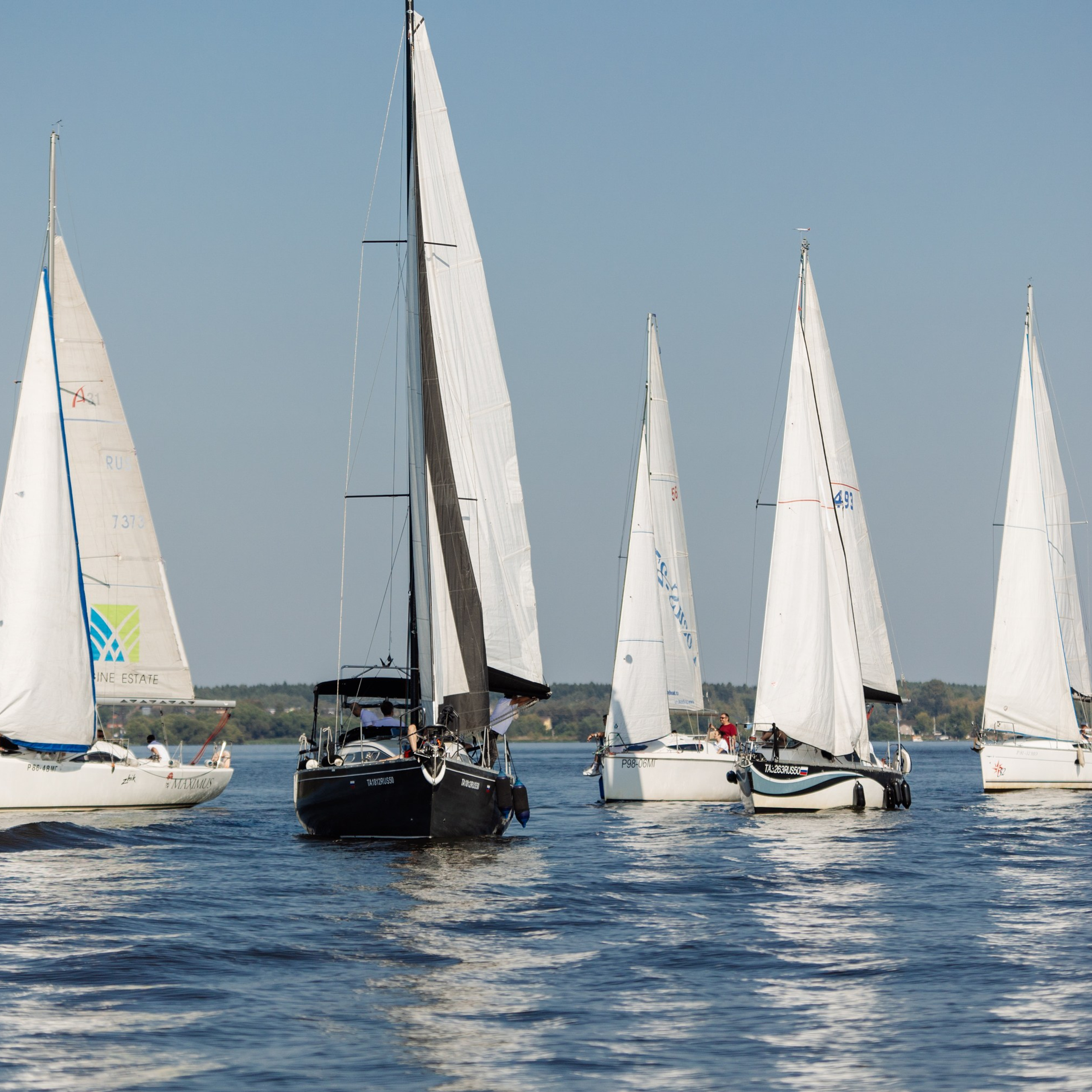 Корпоративная регата. Репортажный фотограф. Москва. Алина Ланская