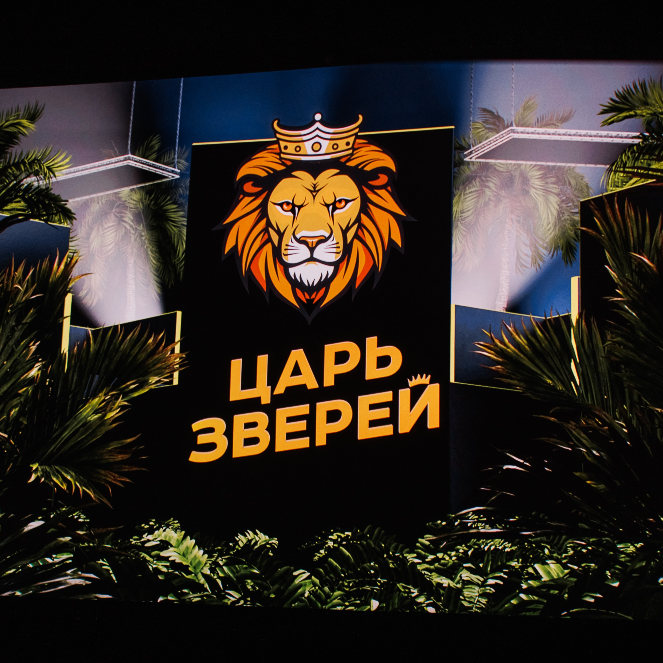 Закрытый показ Шоу. Репортажный фотограф. Москва. Алина Ланская