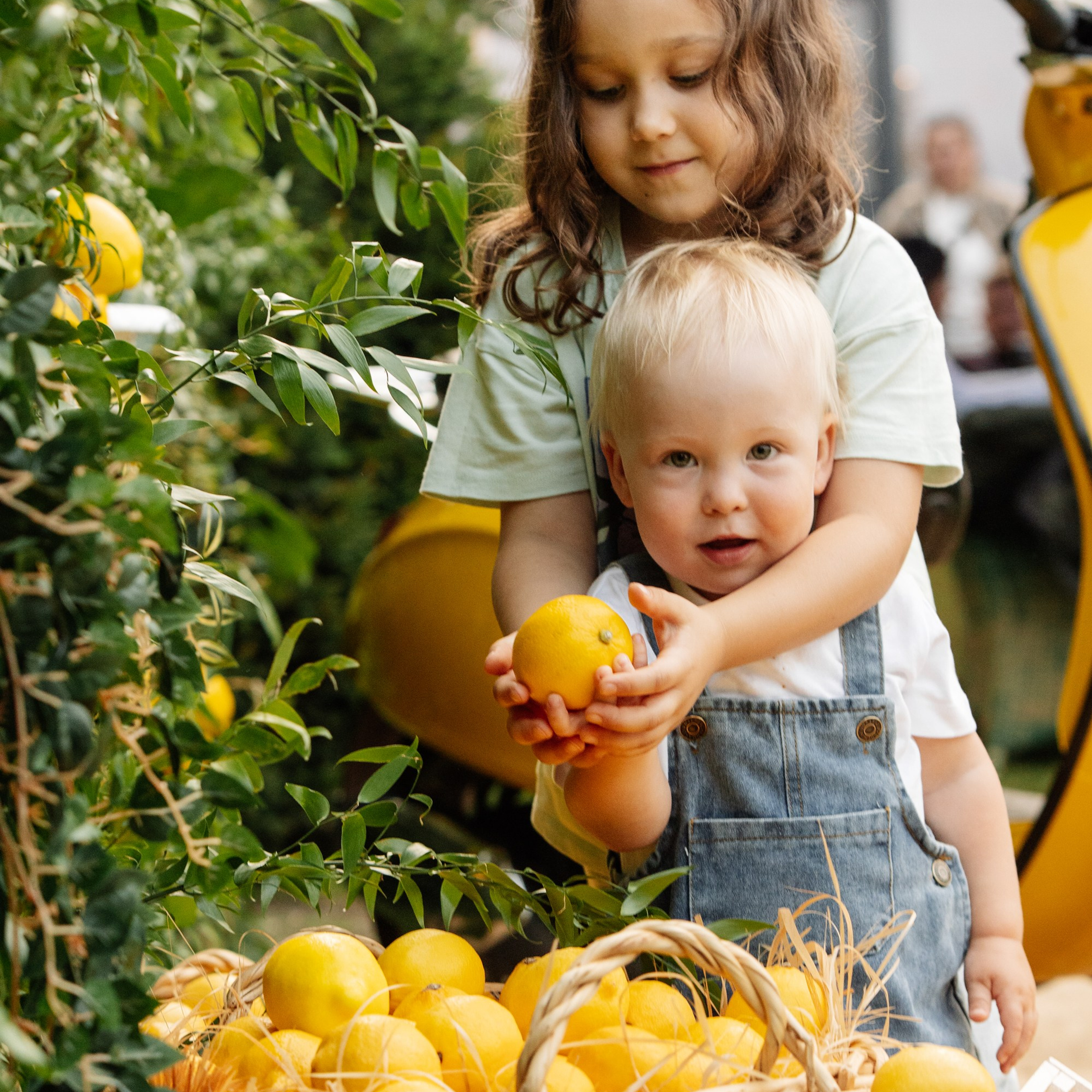 Семейная гонка. Яхты. Репортажный фотограф. Москва. Алина Ланская