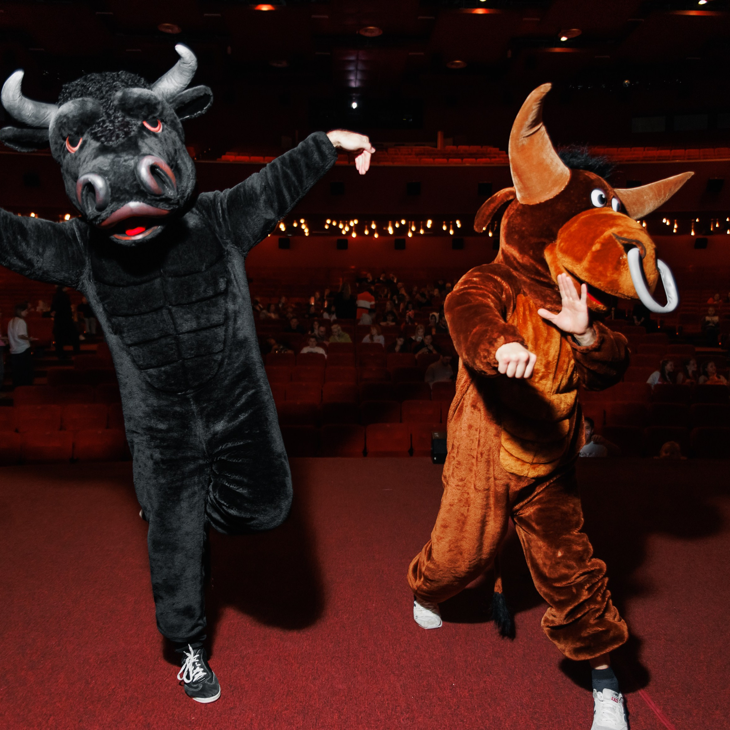 Закрытый показ Шоу. Репортажный фотограф. Москва. Алина Ланская