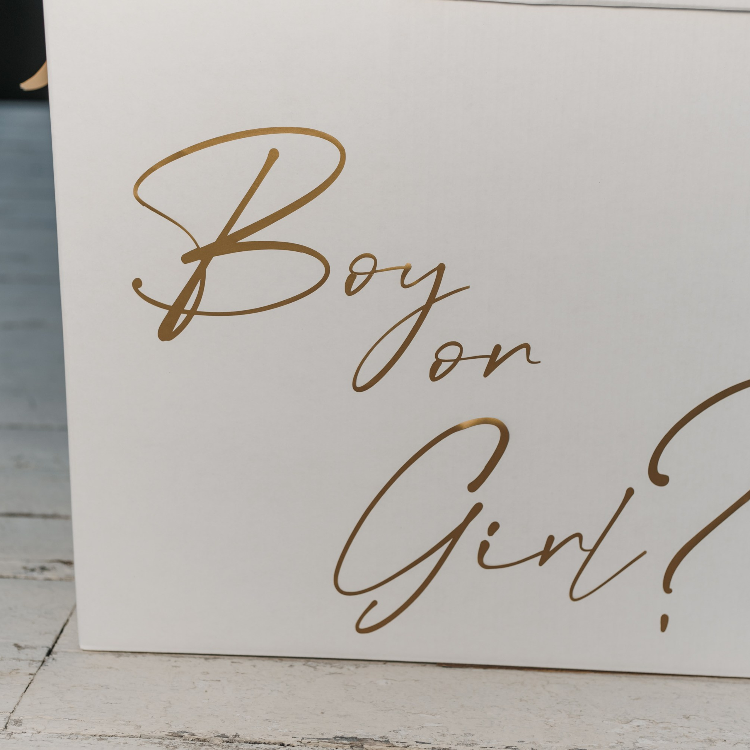 Гендер Пати. Репортажный фотограф. Москва. Алина Ланская