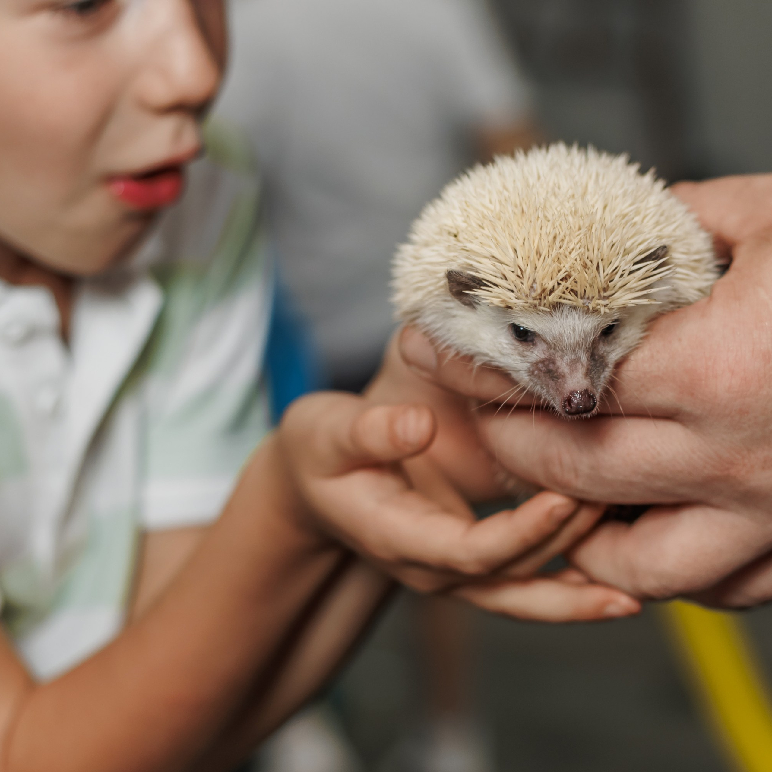 Детский День Рождения. Репортажный фотограф. Москва. Алина Ланская