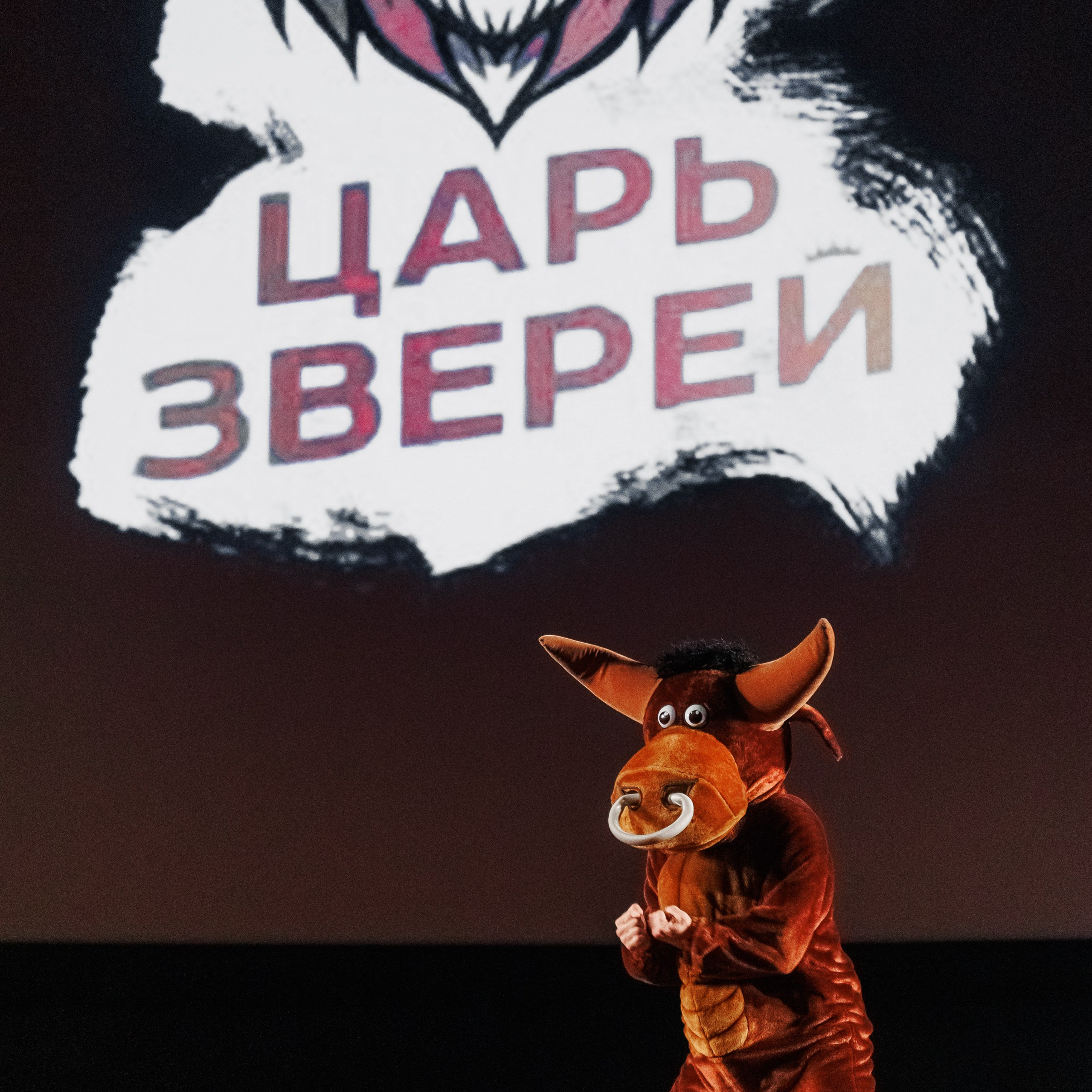 Закрытый показ Шоу. Репортажный фотограф. Москва. Алина Ланская