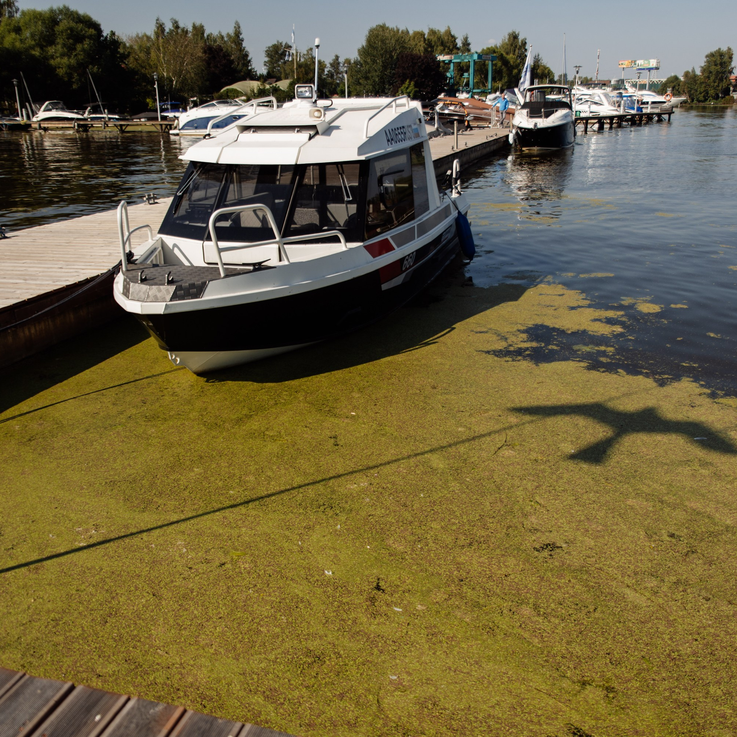 Корпоративная регата. Репортажный фотограф. Москва. Алина Ланская
