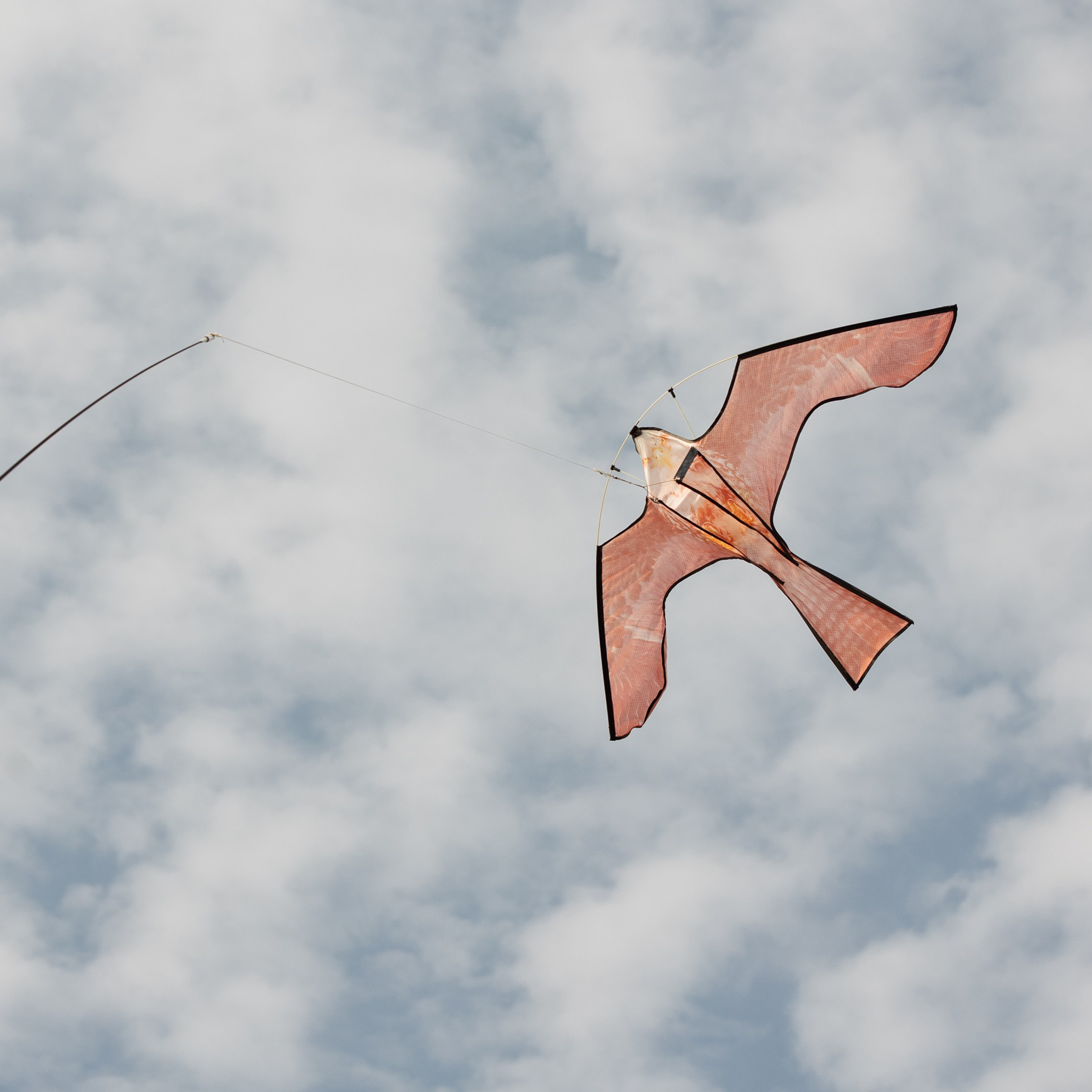 Семейная гонка. Яхты. Репортажный фотограф. Москва. Алина Ланская