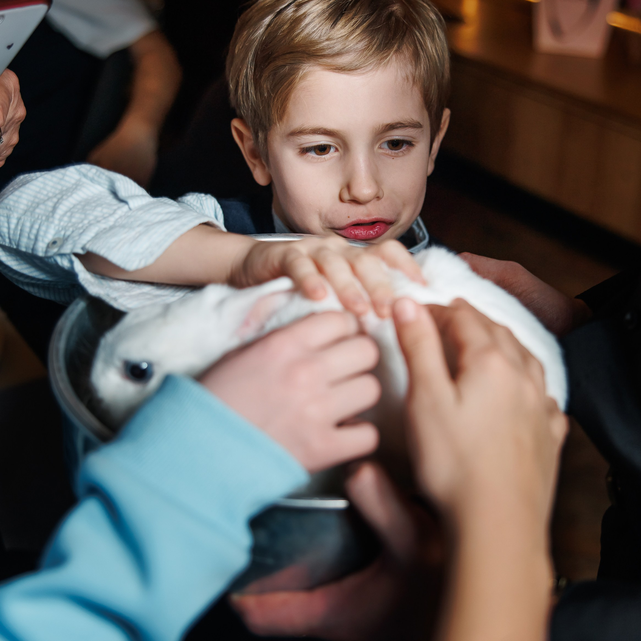 День Рождения в ресторане. Репортажный фотограф. Москва. Алина Ланская