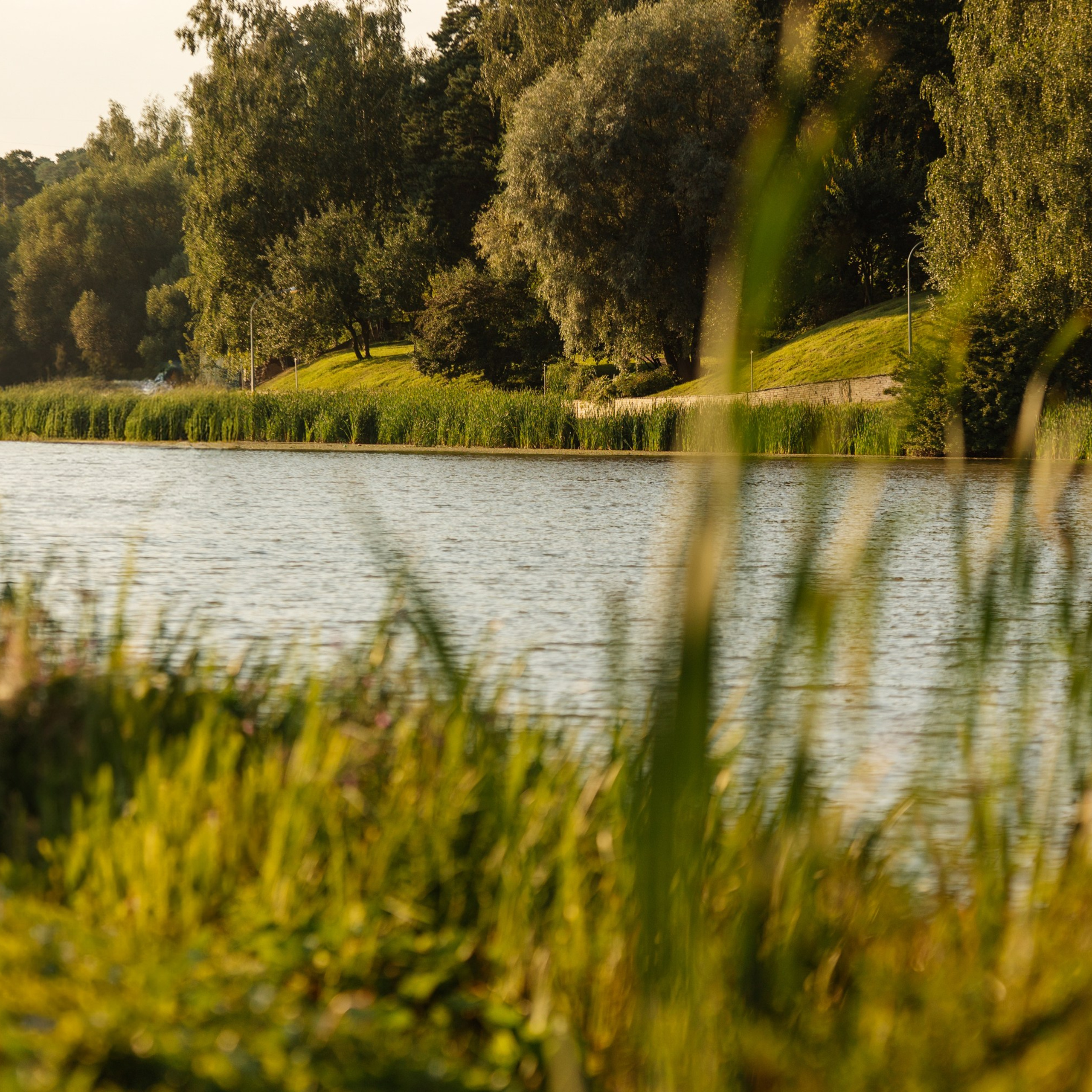 Гендер Пати. Репортажный фотограф. Москва. Алина Ланская