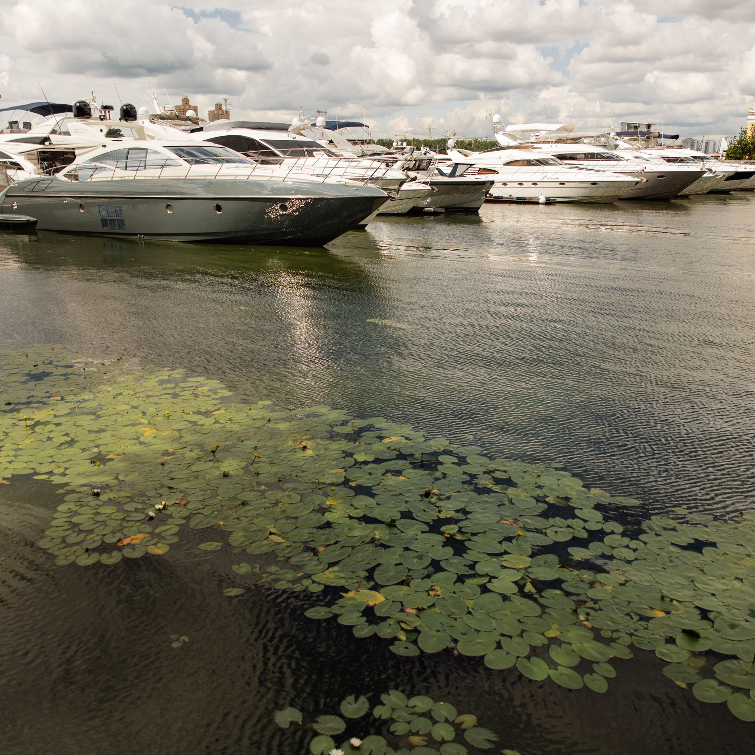 Яхт Клуб PROyachting. Регата. Репортажный фотограф. Москва. Алина Ланская