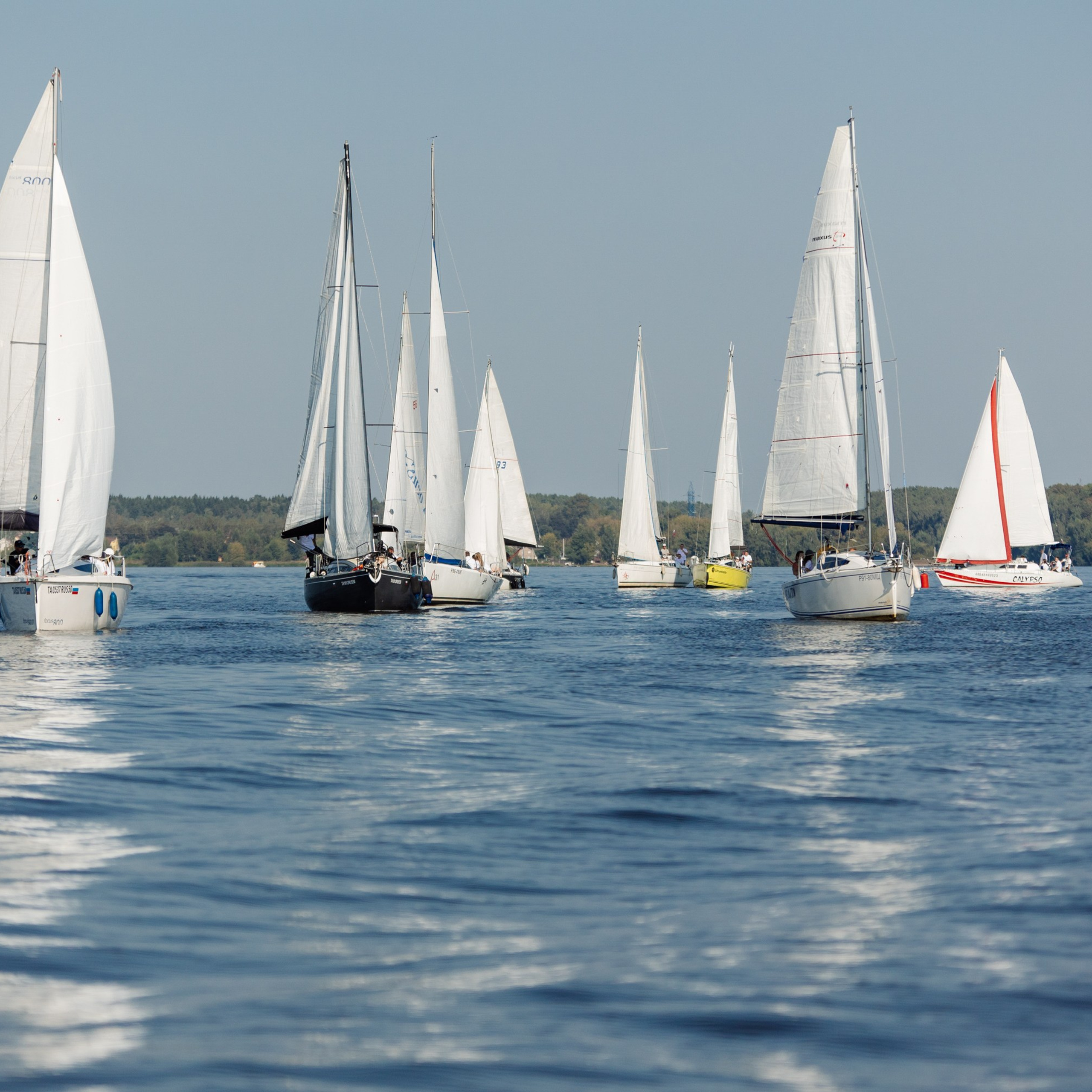 Корпоративная регата. Репортажный фотограф. Москва. Алина Ланская