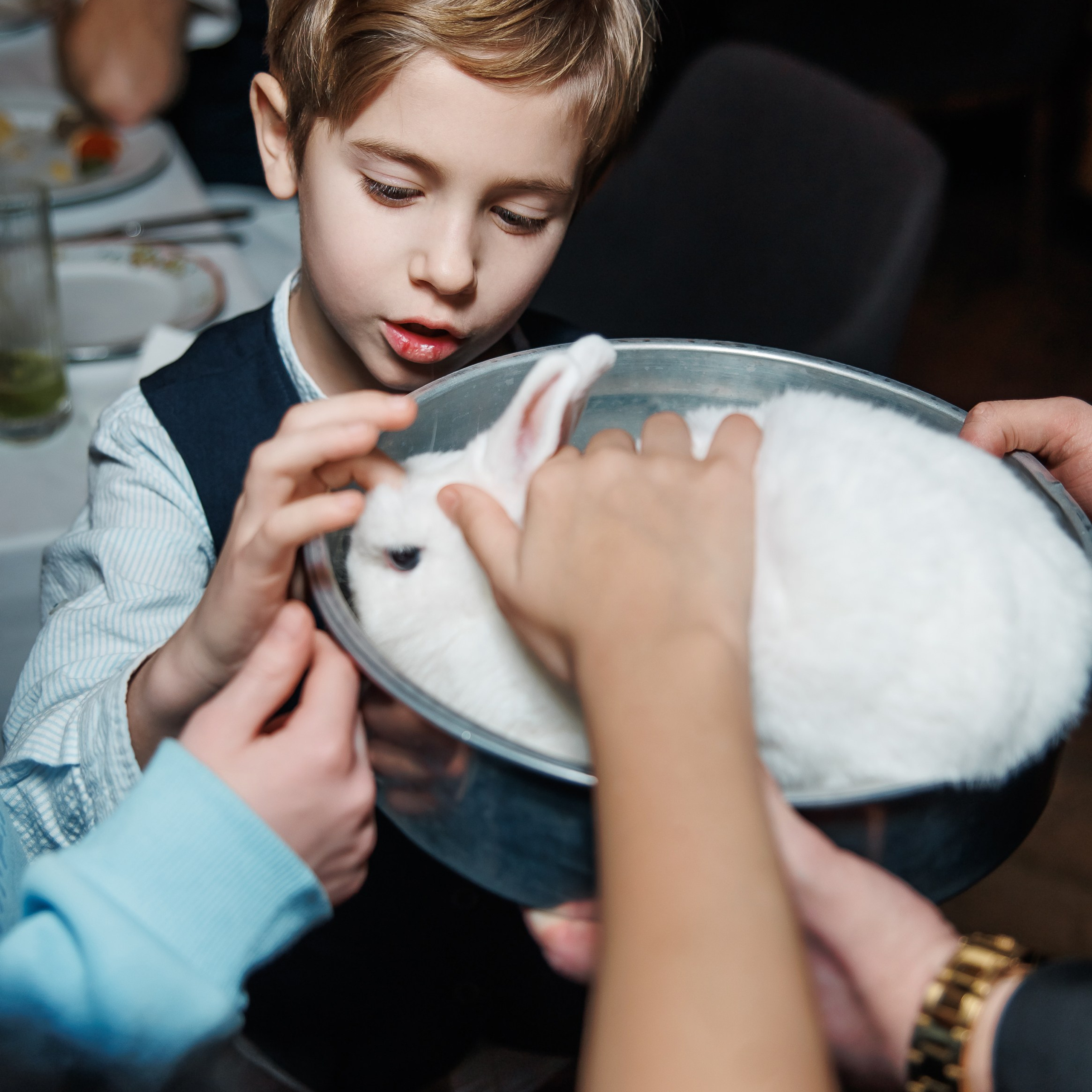 День Рождения в ресторане. Репортажный фотограф. Москва. Алина Ланская
