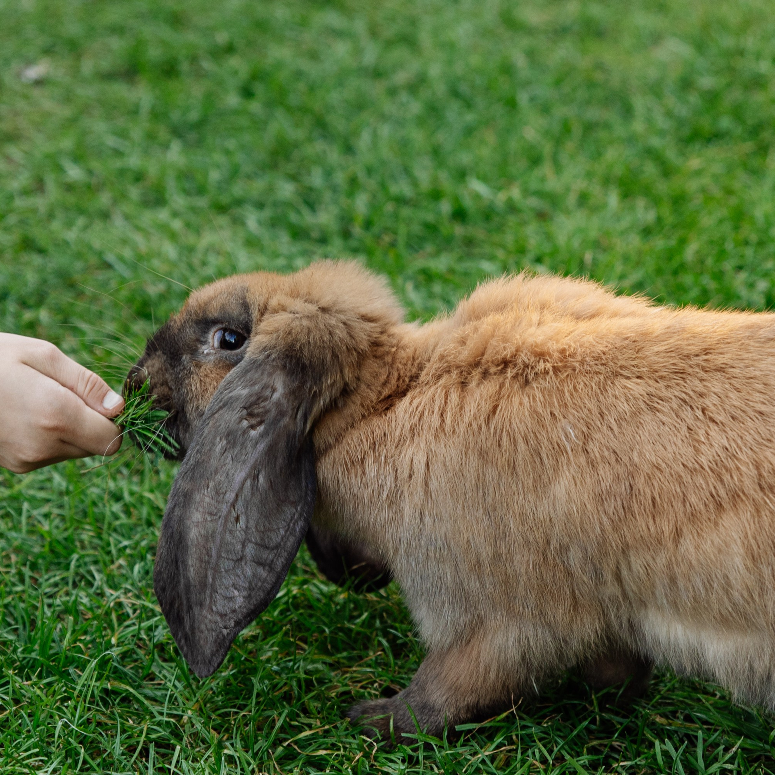 Корпоративная регата. Репортажный фотограф. Москва. Алина Ланская