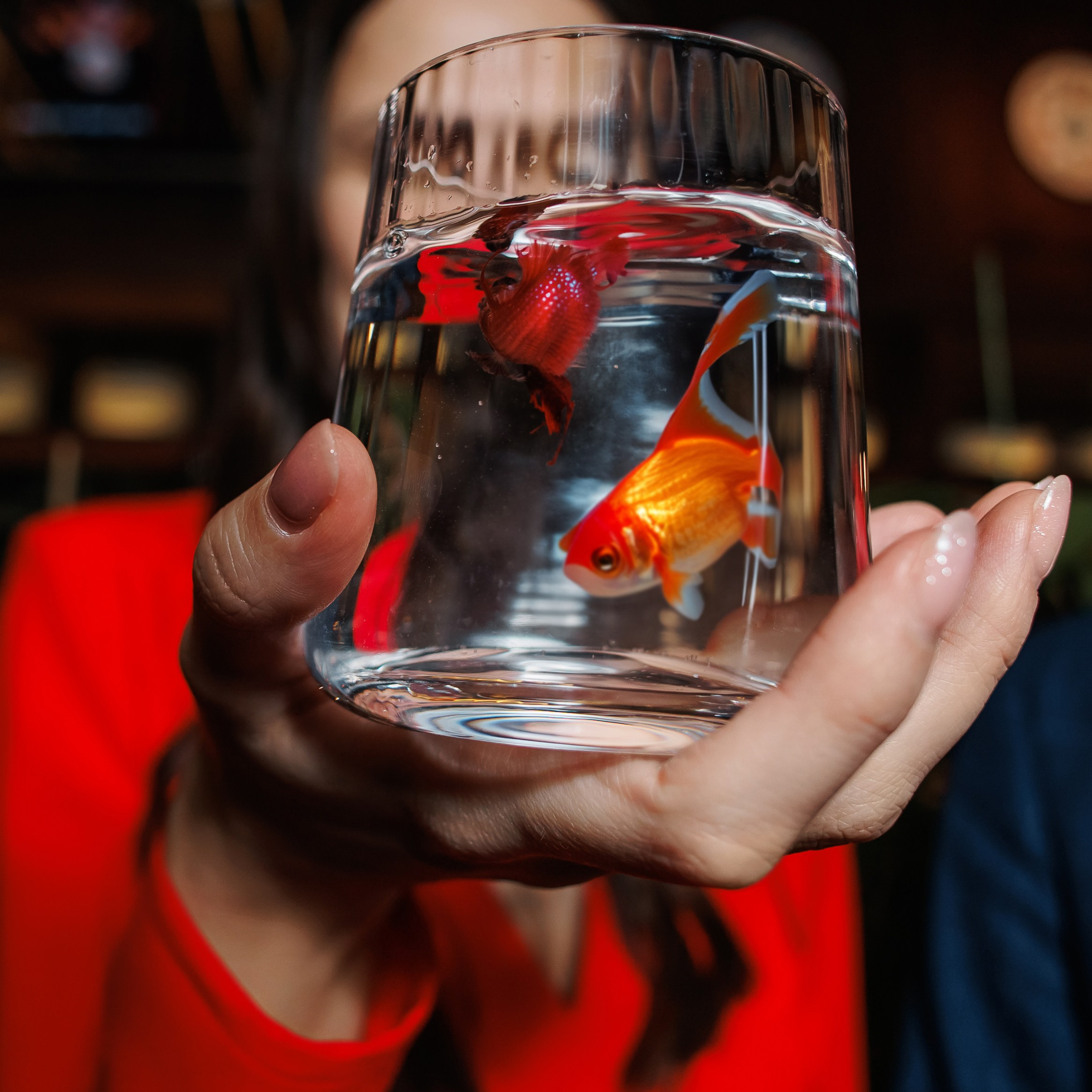 День Рождения в ресторане. Репортажный фотограф. Москва. Алина Ланская