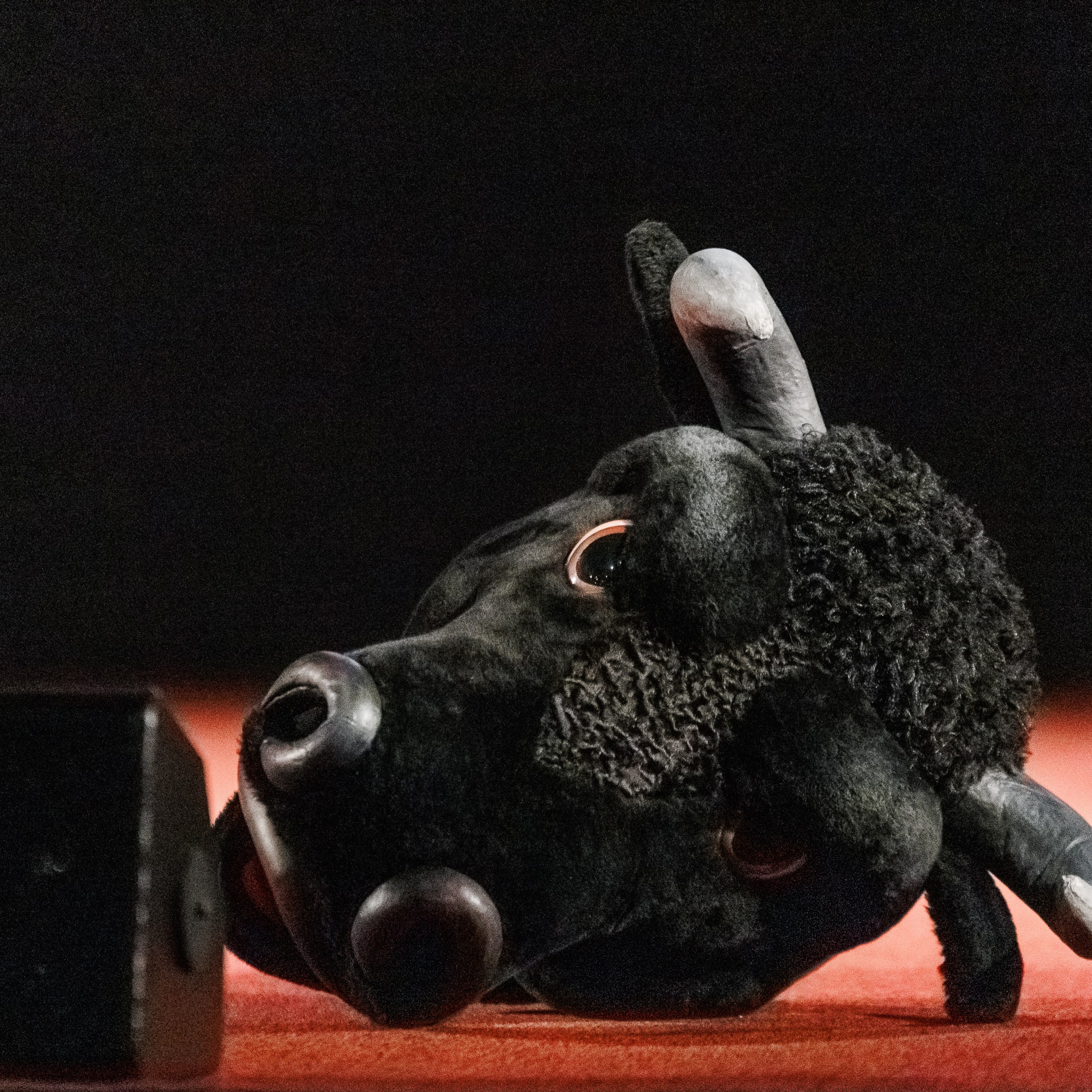 Закрытый показ Шоу. Репортажный фотограф. Москва. Алина Ланская