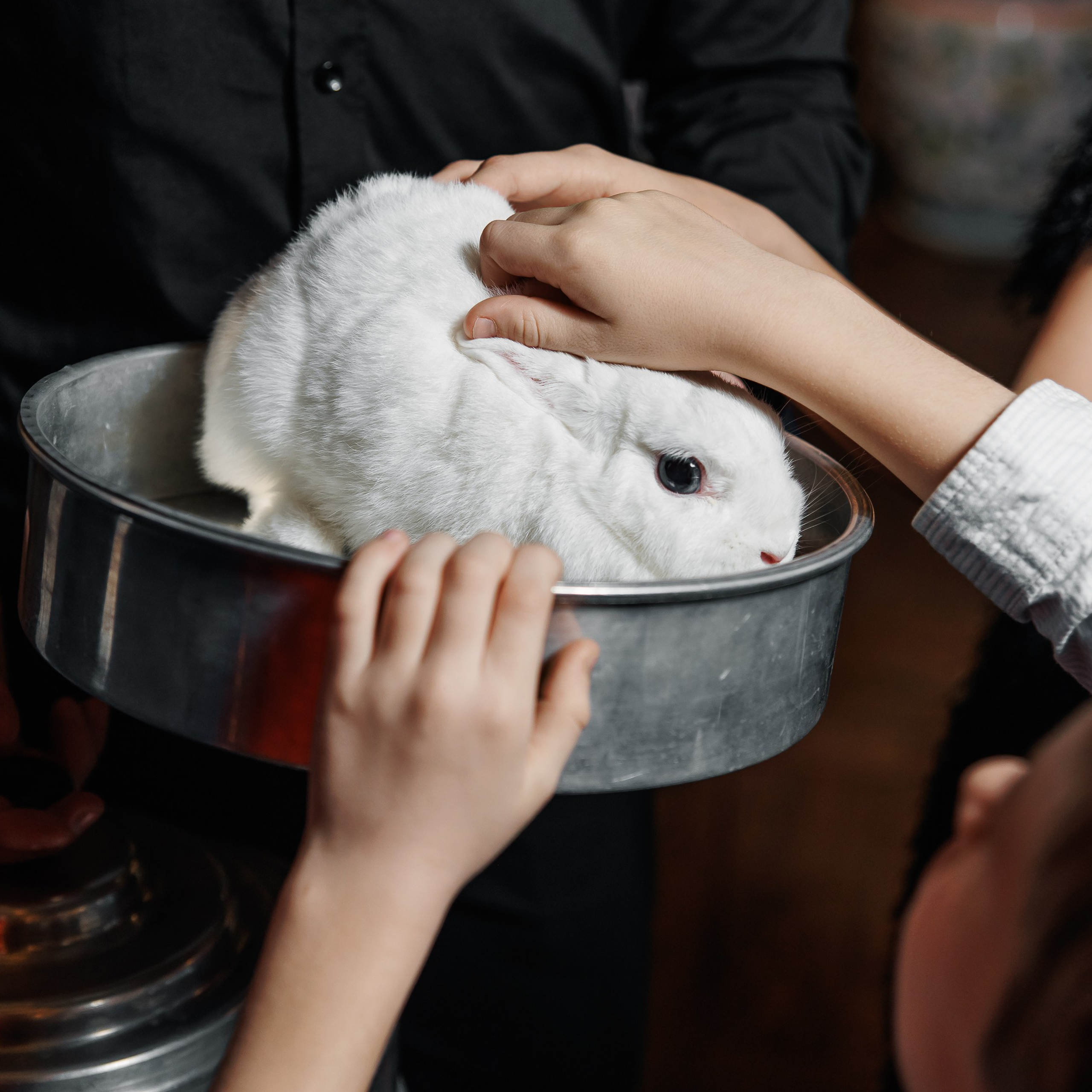 День Рождения в ресторане. Репортажный фотограф. Москва. Алина Ланская