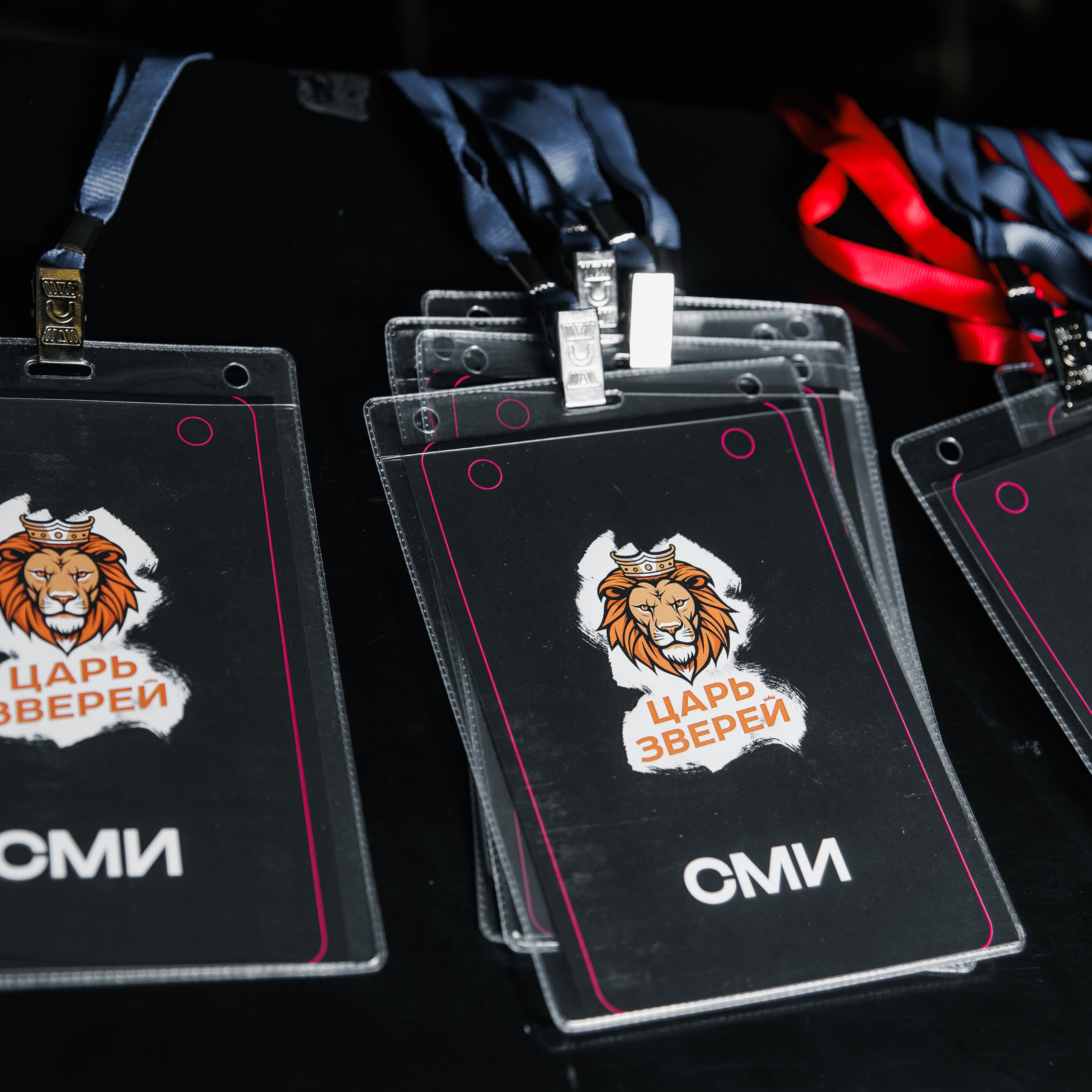 Закрытый показ Шоу. Репортажный фотограф. Москва. Алина Ланская