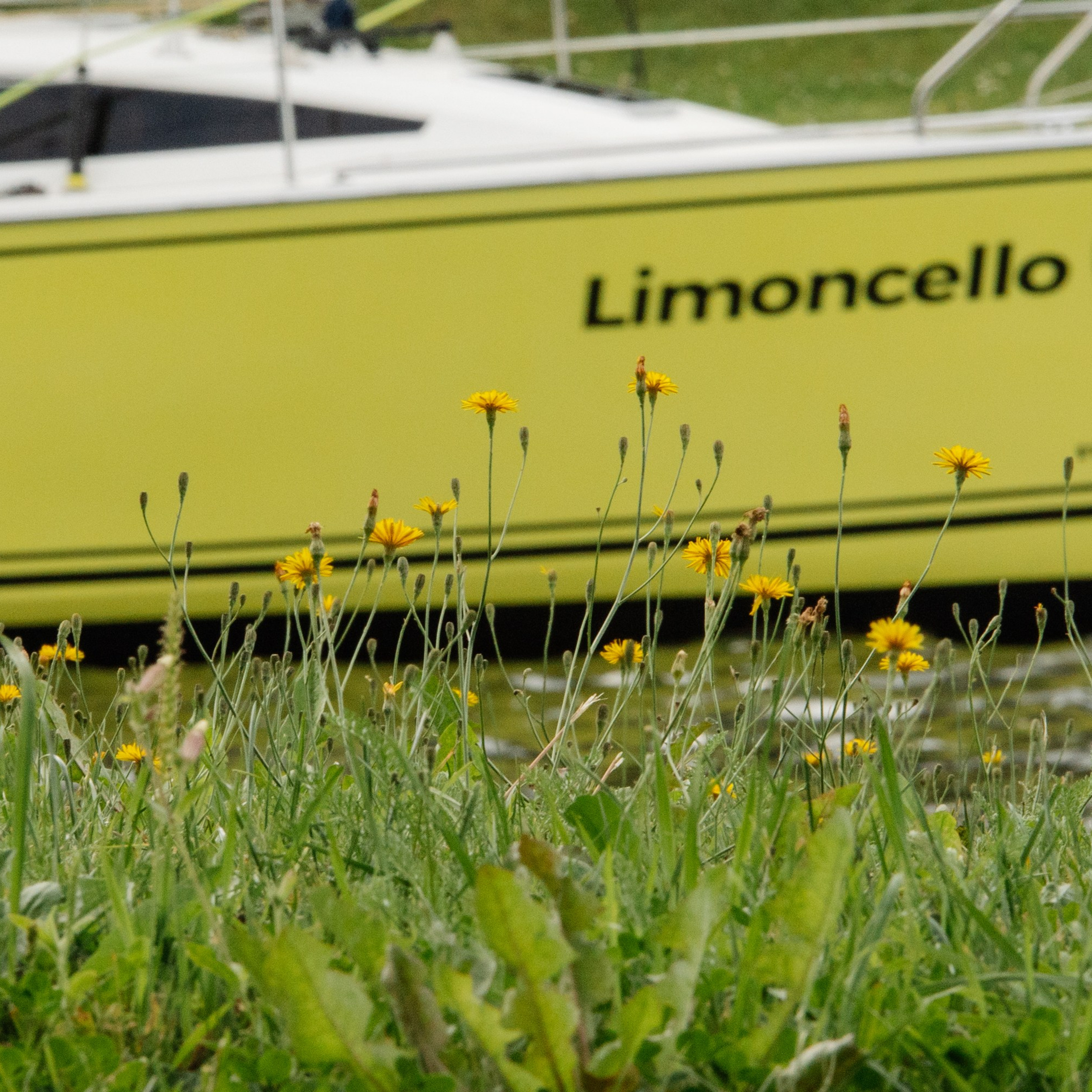 Гонка на яхтах. Репортажный фотограф. Москва. Алина Ланская