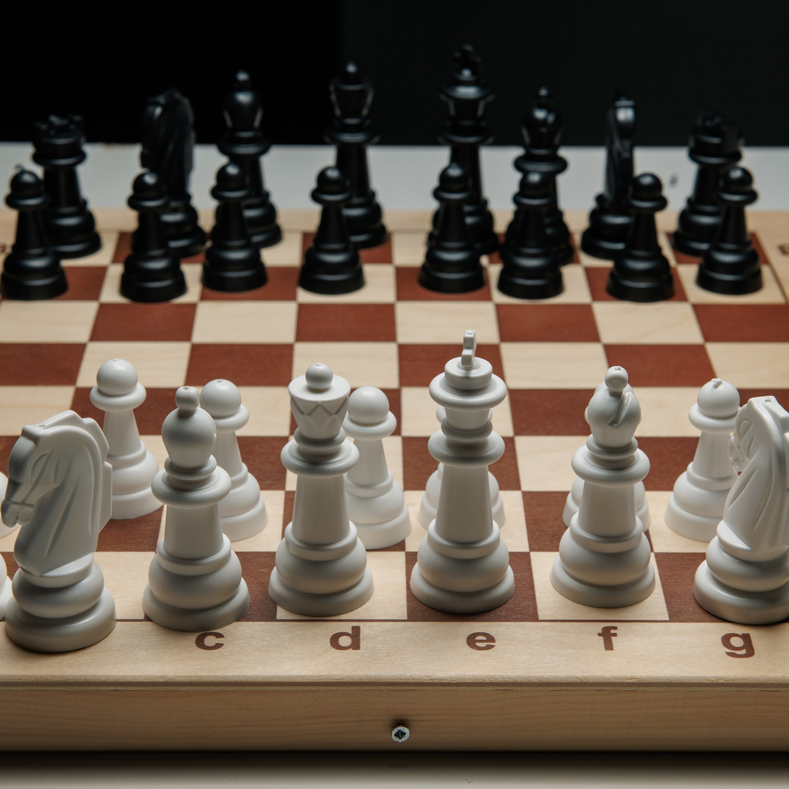 IT Выходные ВК. Репортажный фотограф. Москва. Алина Ланская