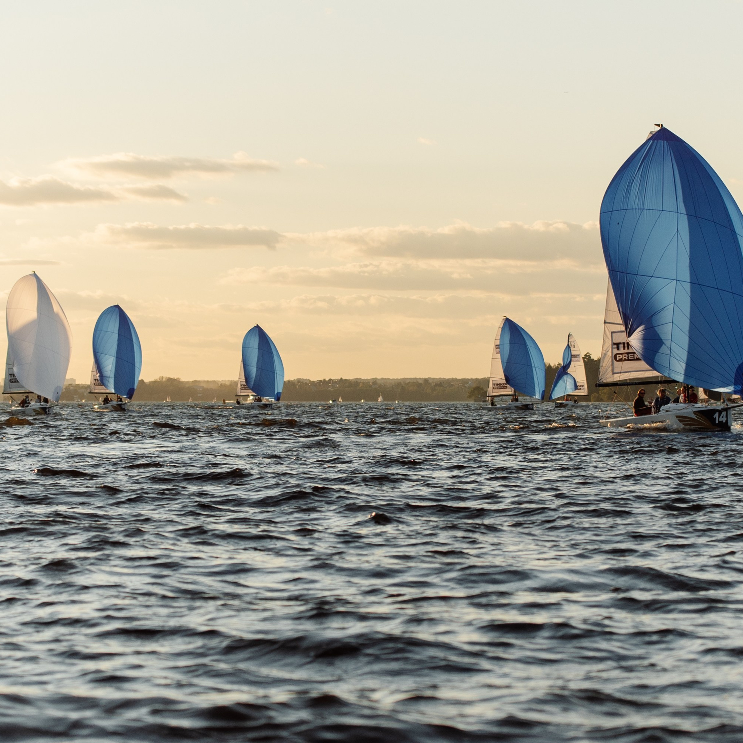 Гонка на яхтах. Репортажный фотограф. Москва. Алина Ланская